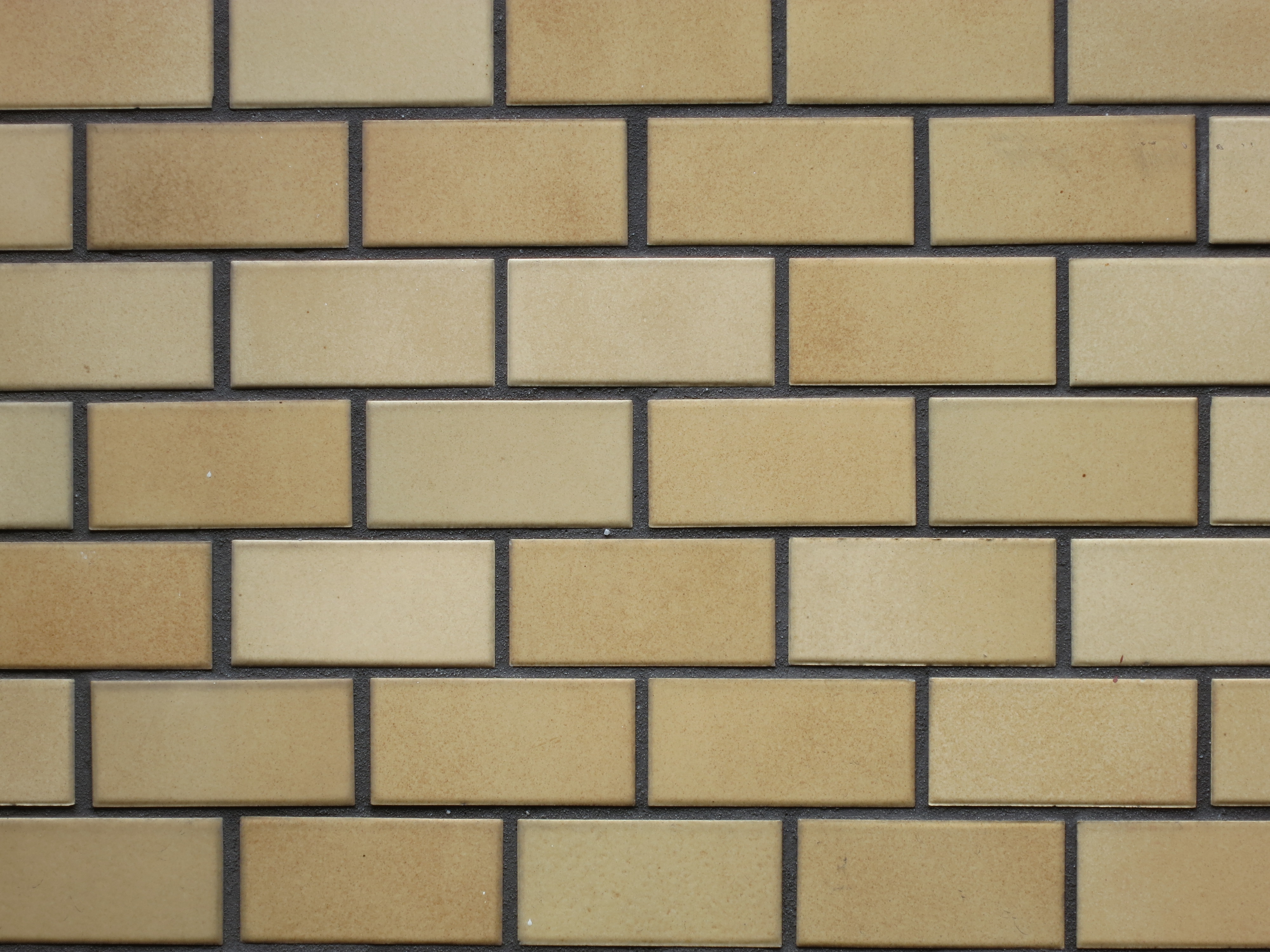 <b>望遠端 / F5.9 / PowerShot S100 / 約2.9MB / 4,000×3,000 / 1/6秒 / +0.3EV / ISO80 / WB:くもり / 26mm</b>