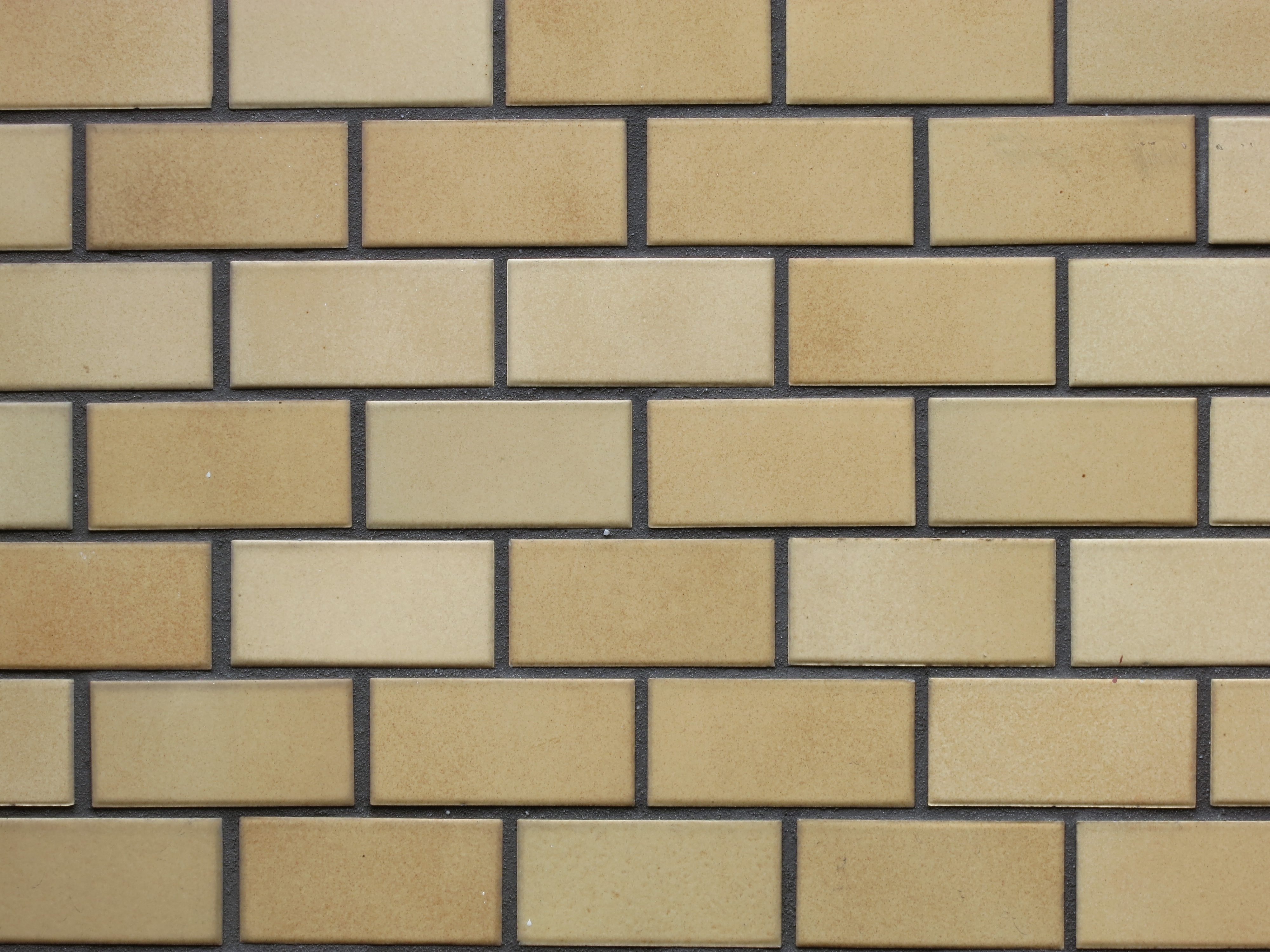 <b>望遠端 / F8 / PowerShot S100 / 約2.9MB / 4,000×3,000 / 1/4秒 / +0.3EV / ISO80 / WB:くもり / 26mm</b>