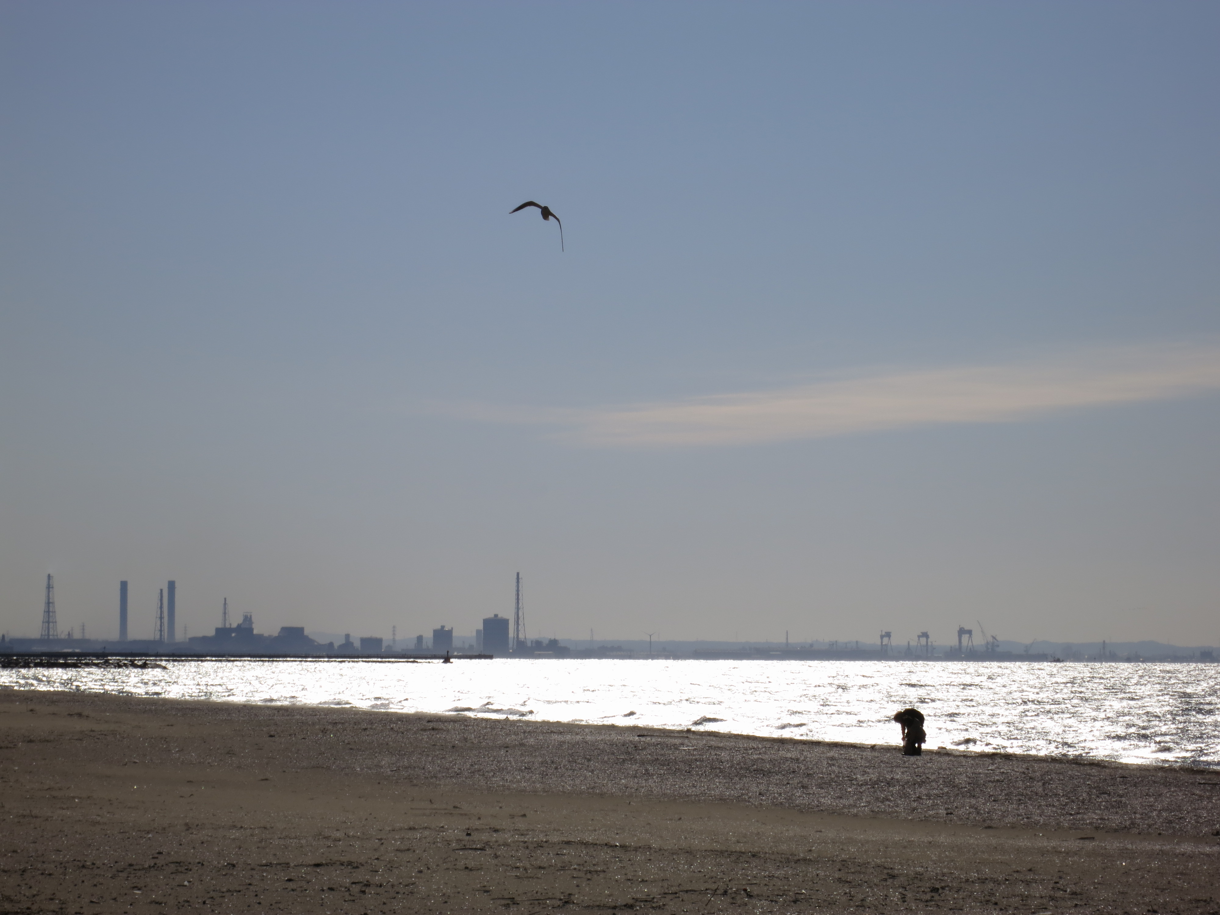 <b>PowerShot S100 / 約1.9MB / 4,000×3,000 / 1/1,250秒 / F5.9 / -0.3EV / ISO80 / WB:オート / 26mm</b>