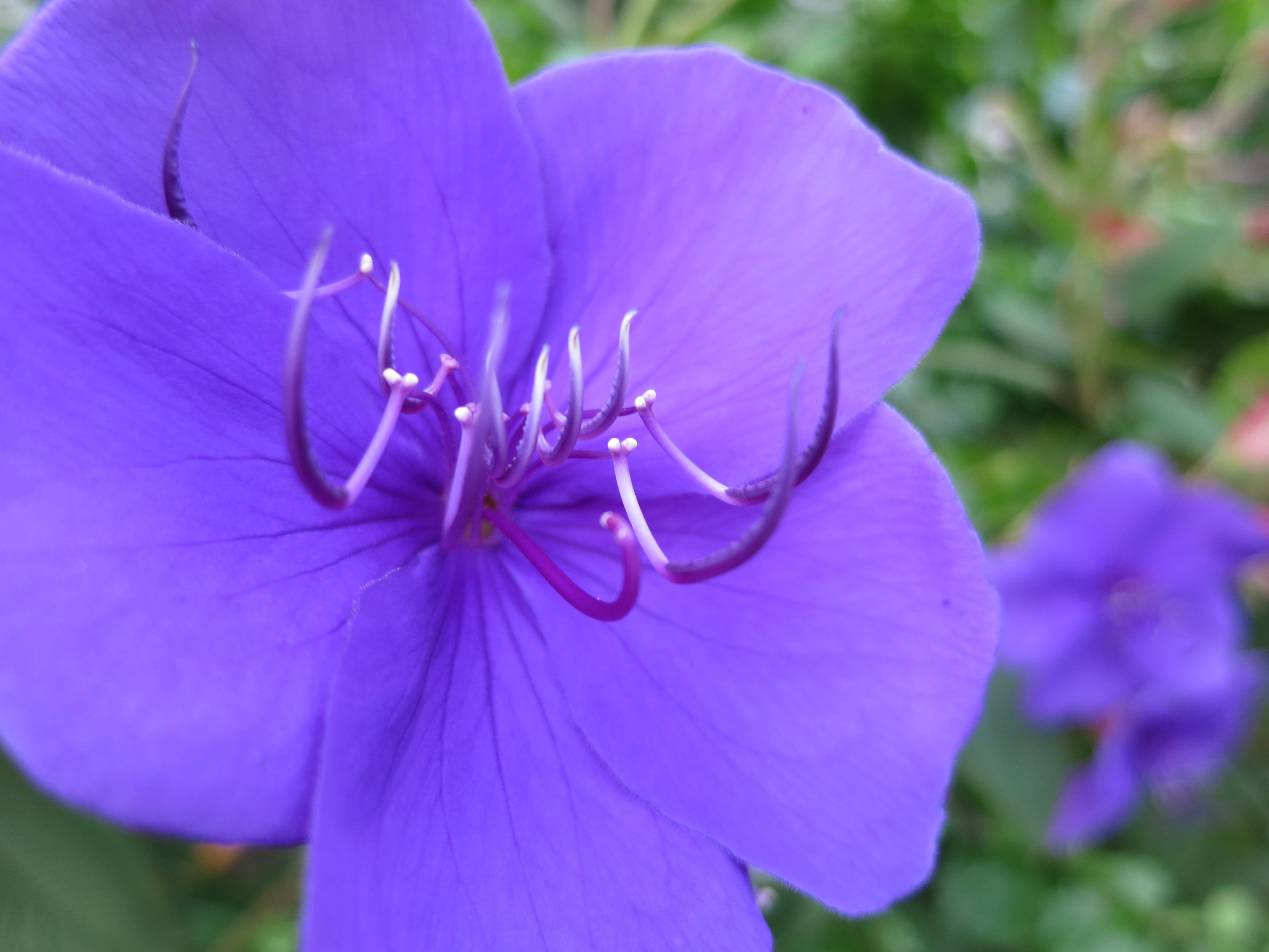 <b>PowerShot S100 / 約1.8MB / 4,000×3,000 / 1/100秒 / F2 / +0.3EV / ISO80 / WB:オート / 5.2mm</b>