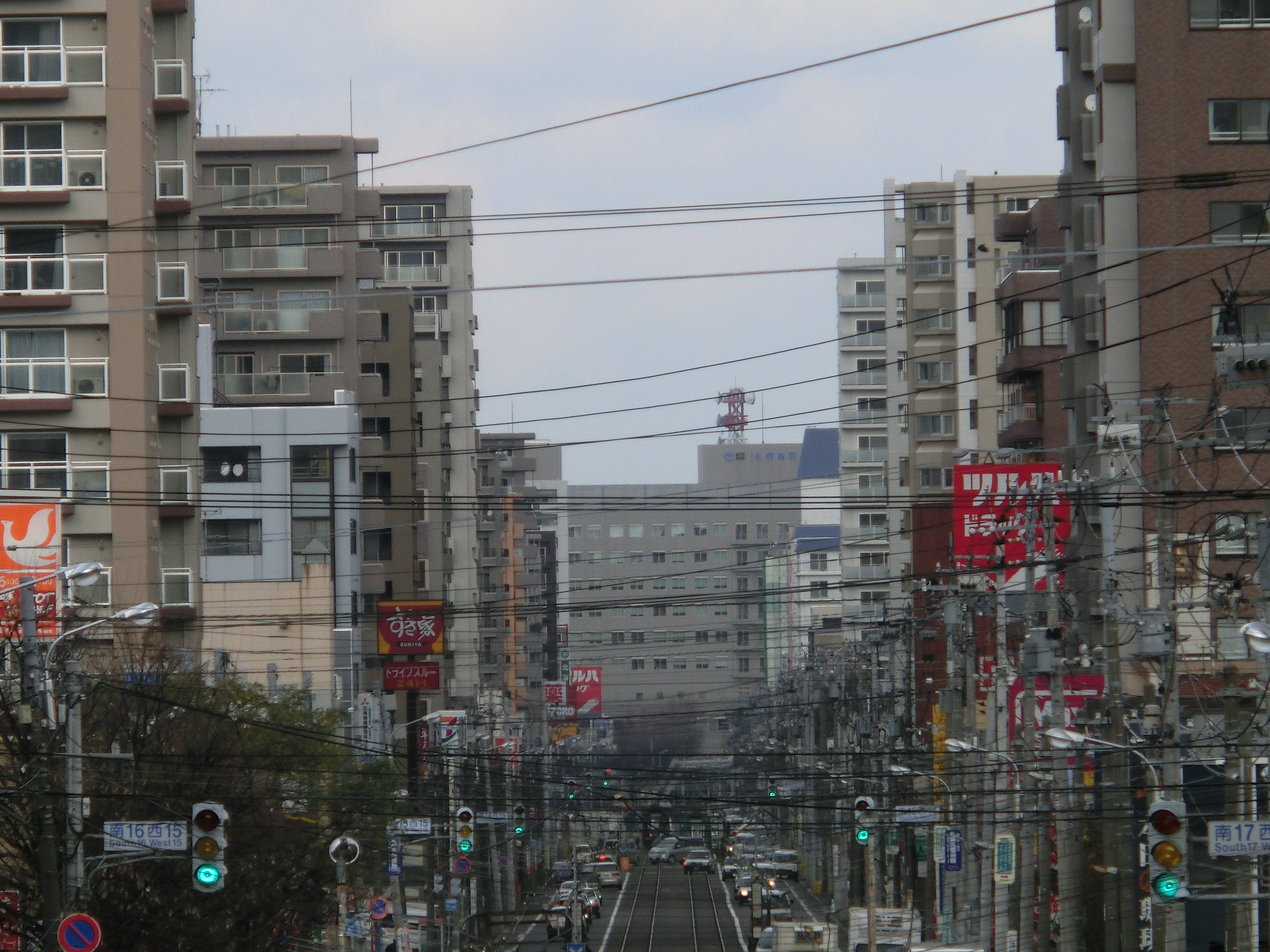 <b>望遠端（シングル超解像、450mm相当） / EXILIM EX-ZR200 / 4,608×3,456 / 1/320秒 / F5.9 / 0EV / ISO80 / WB:オート / 53mm</b>