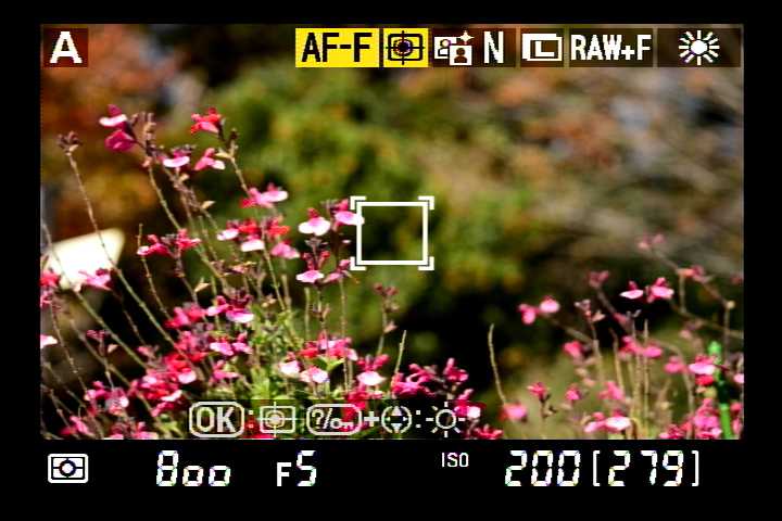 <b>ライブビュー撮影に切り換えた状態で、レンズ取り外しボタン下の「AFモードボタン」を押すと、AFモードとAFエリアモードが設定できる。メインコマンドダイヤル（後ダイヤル）でAFモードを、サブコマンドダイヤル（前ダイヤル）でAFエリアモードを設定する。今回の撮影では、AFモードはシャッターボタンを半押しするまでピントを合わせ続ける「AF-F 常時AFサーボ」に、AFエリアモードは「ターゲット追尾AF」に設定した</b>