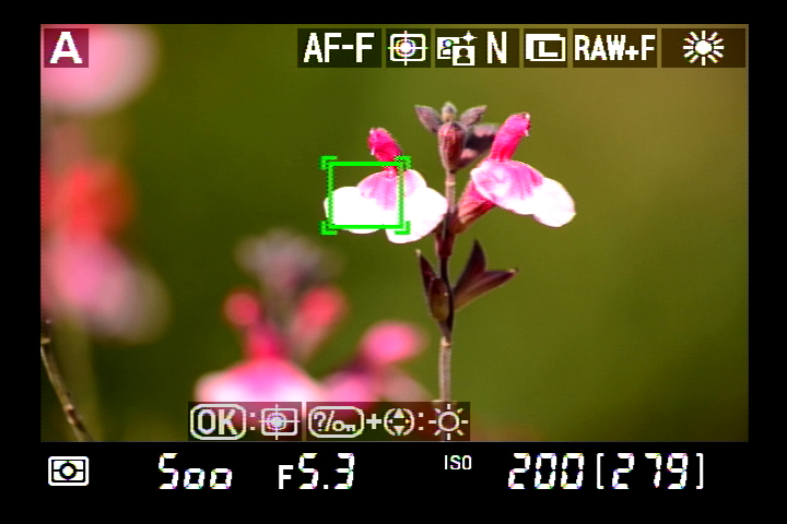 <b>そして、シャッターボタンを半押しすると、フォーカスポイント枠が緑色に変わりAF作動が開始する。……で、再度OKボタンを押すと追尾を終了してフォーカスポイントは画面中央に戻るが、AF作動は引き続き行なわれている</b>