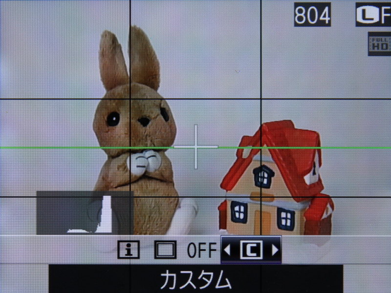 <b>DISPボタンで表示スタイルを選んでいるところ</b>