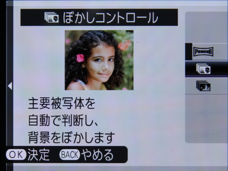 <b>ぼかしコントロールも使用可能</b>