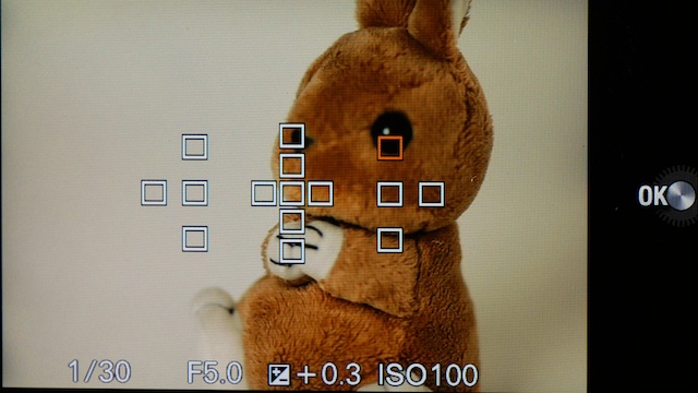 <b>ローカルで測距点を選択したところ</b>