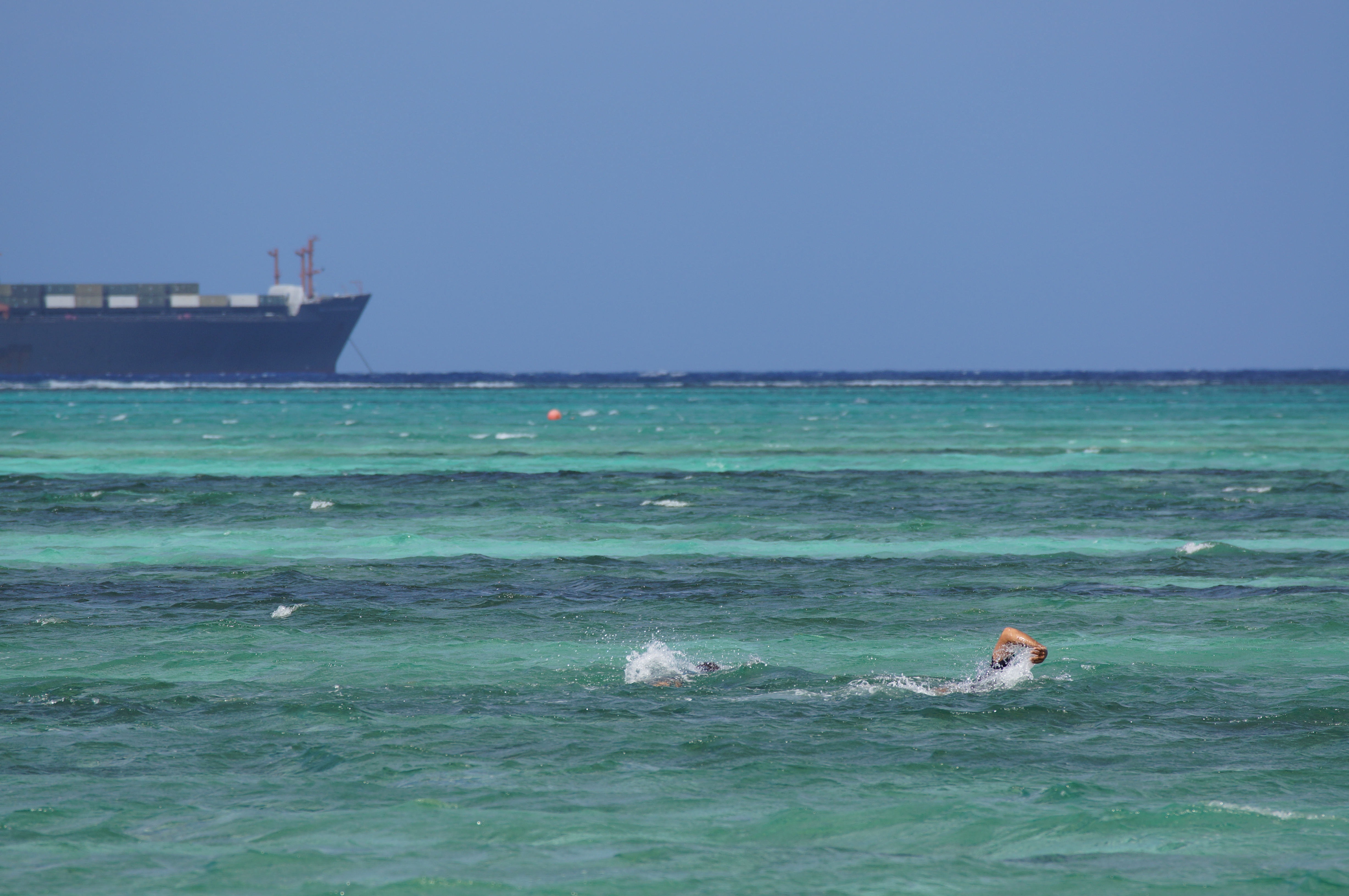 <b>NEX-5N / 70-300mm F4.5-5.6 G SSM / 約3.9MB / 4,912×3,264 / 1/500秒 / F8 / 0.0EV / ISO125 / WB:オート / 300mm</b>