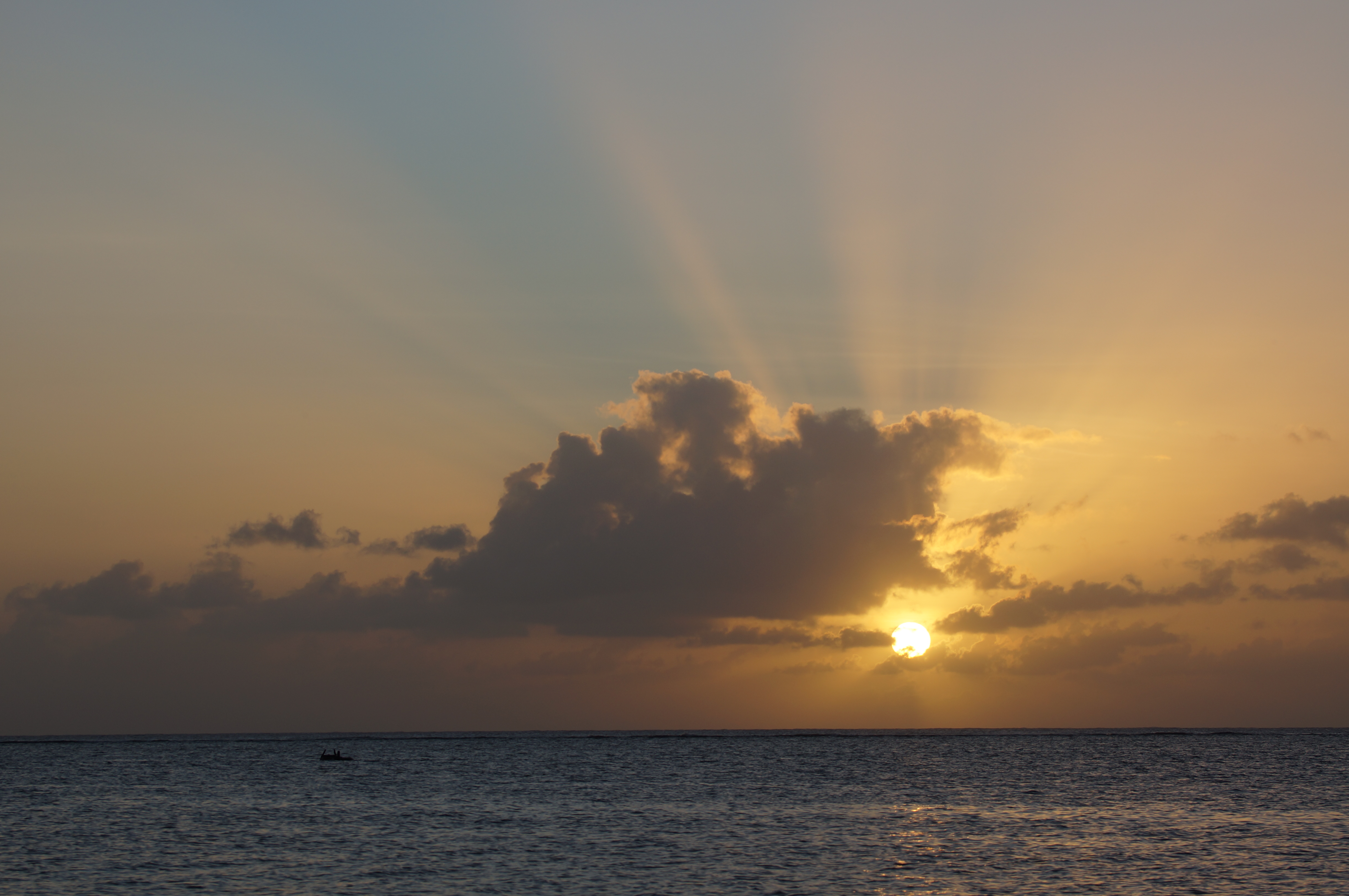 <b>NEX-5N / 70-300mm F4.5-5.6 G SSM / 約2.9MB / 4,912×3,264 / 1/250秒 / F8 / 0.0EV / ISO100 / WB:オート / 70mm</b>