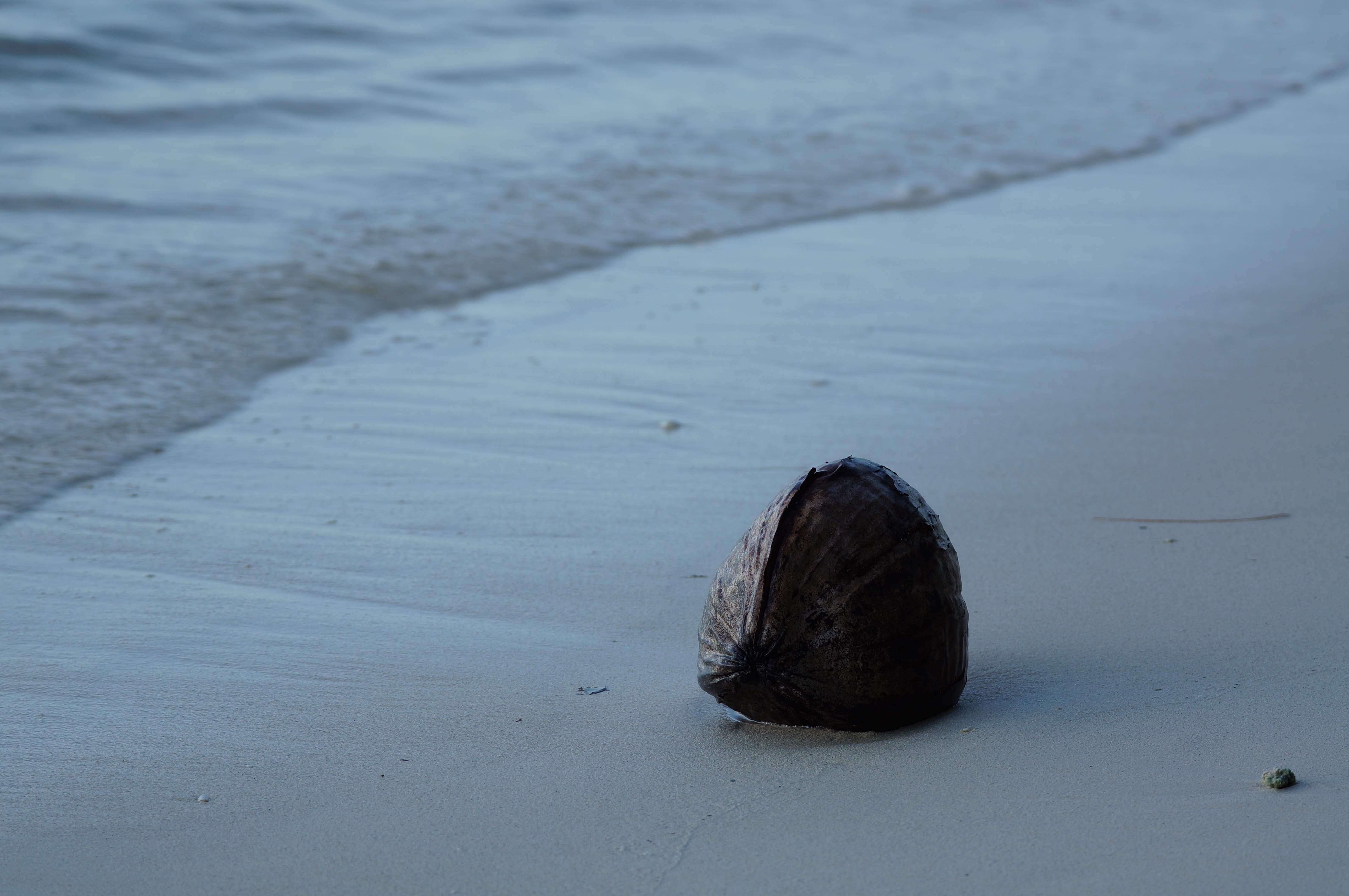 <b>NEX-5N / 70-300mm F4.5-5.6 G SSM / 約3.5MB / 4,912×3,264 / 1/30秒 / F5.6 / 0.0EV / ISO100 / WB:太陽光 / 160mm</b>