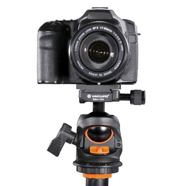 <b>水平をとったところ</b>