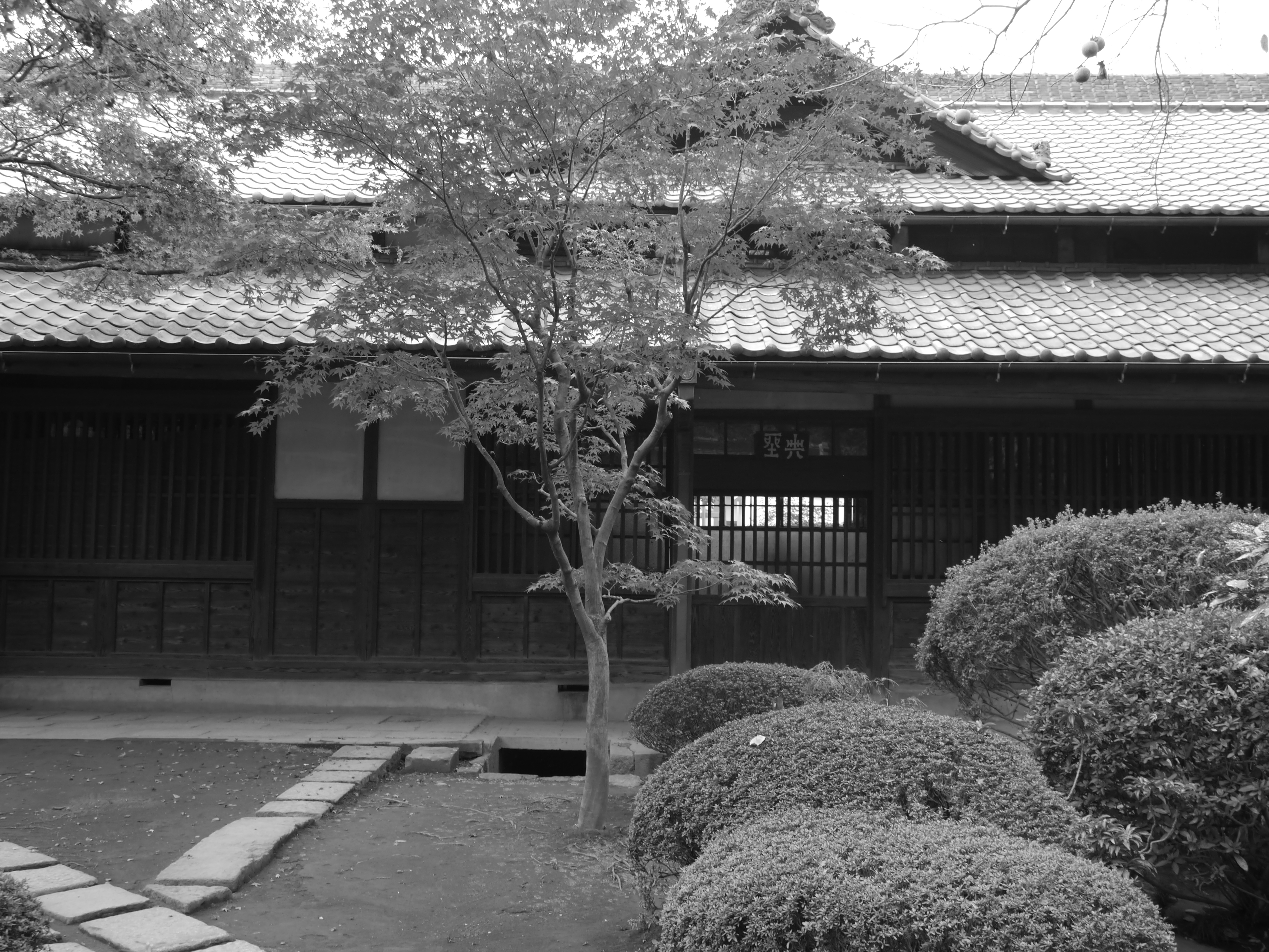 <b>フォトスタイル:モノクローム / DMC-GX1 / LUMIX G X VARIO PZ 14-42mm F3.5-5.6 ASPH. POWER O.I.S. / 約6.9MB / 4,592×3,448 / 1/100秒 / F4.3 / 0.0EV / ISO160 / WB:オート / 18mm</b>