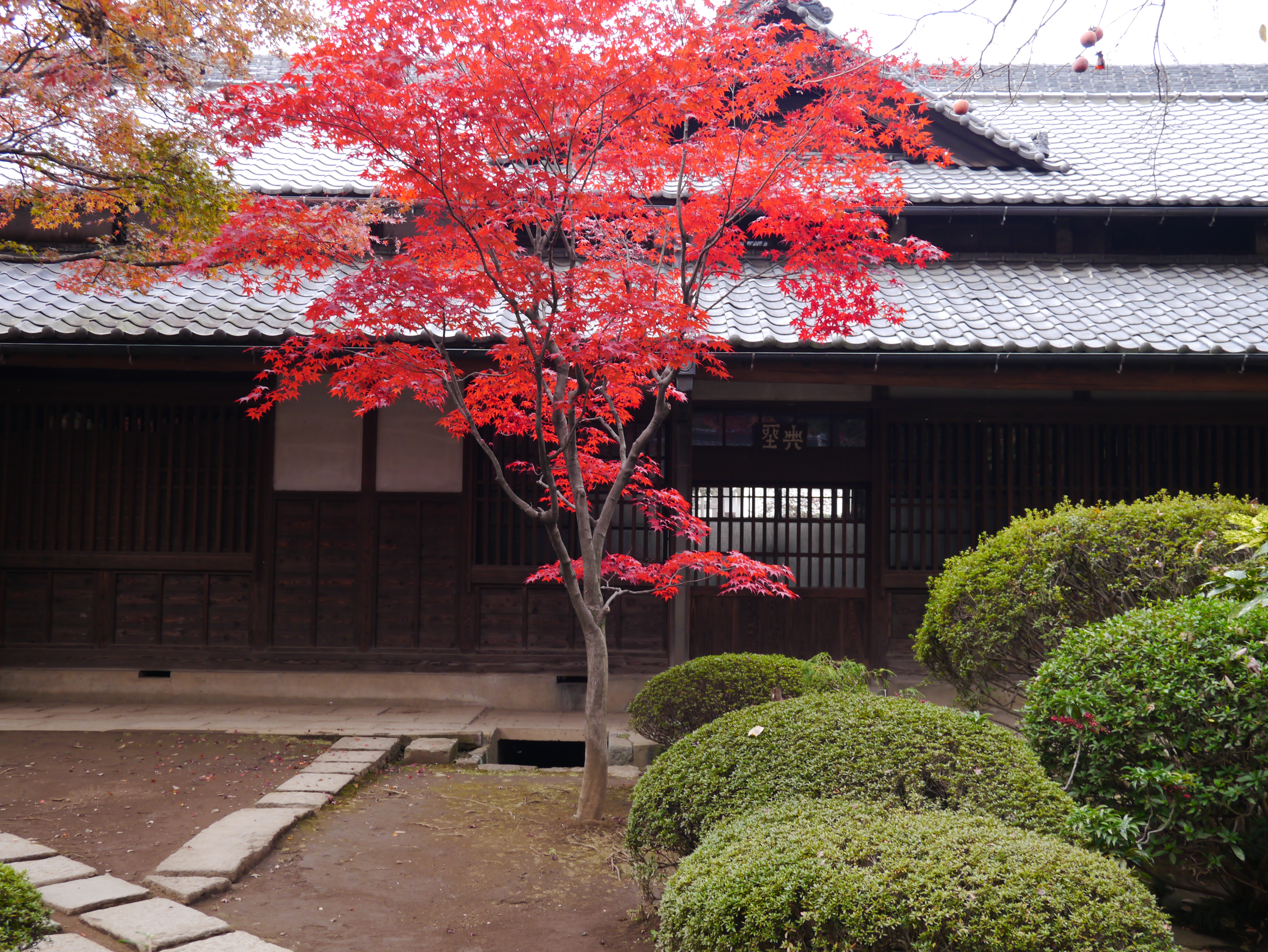 <b>フォトスタイル:風景 / DMC-GX1 / LUMIX G X VARIO PZ 14-42mm F3.5-5.6 ASPH. POWER O.I.S. / 約8.8MB / 4,592×3,448 / 1/80秒 / F4.3 / 0.0EV / ISO160 / WB:オート / 18mm</b>