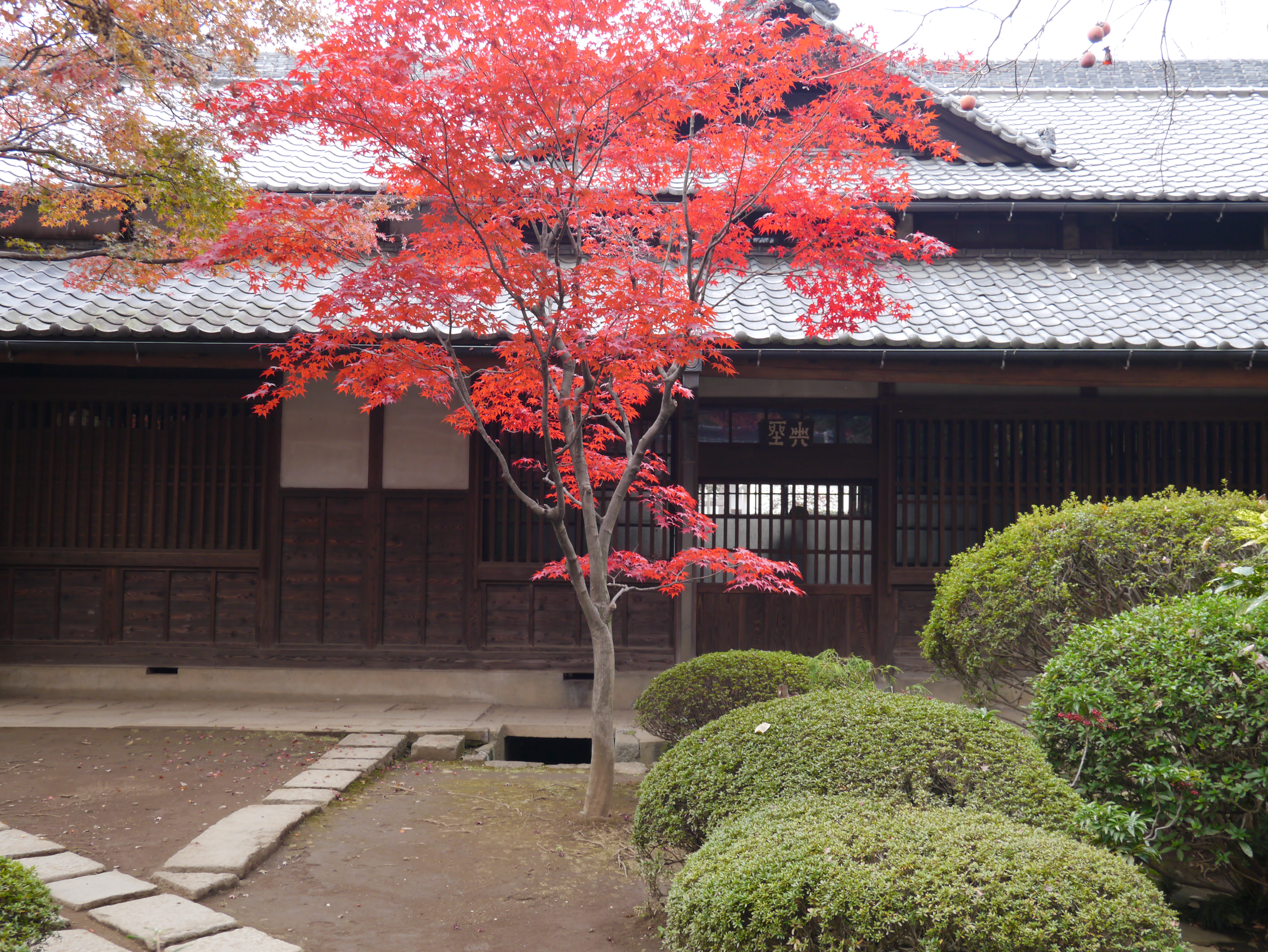 <b>フォトスタイル:人物 / DMC-GX1 / LUMIX G X VARIO PZ 14-42mm F3.5-5.6 ASPH. POWER O.I.S. / 約8.7MB / 4,592×3,448 / 1/80秒 / F4.3 / 0.0EV / ISO160 / WB:オート / 18mm</b>