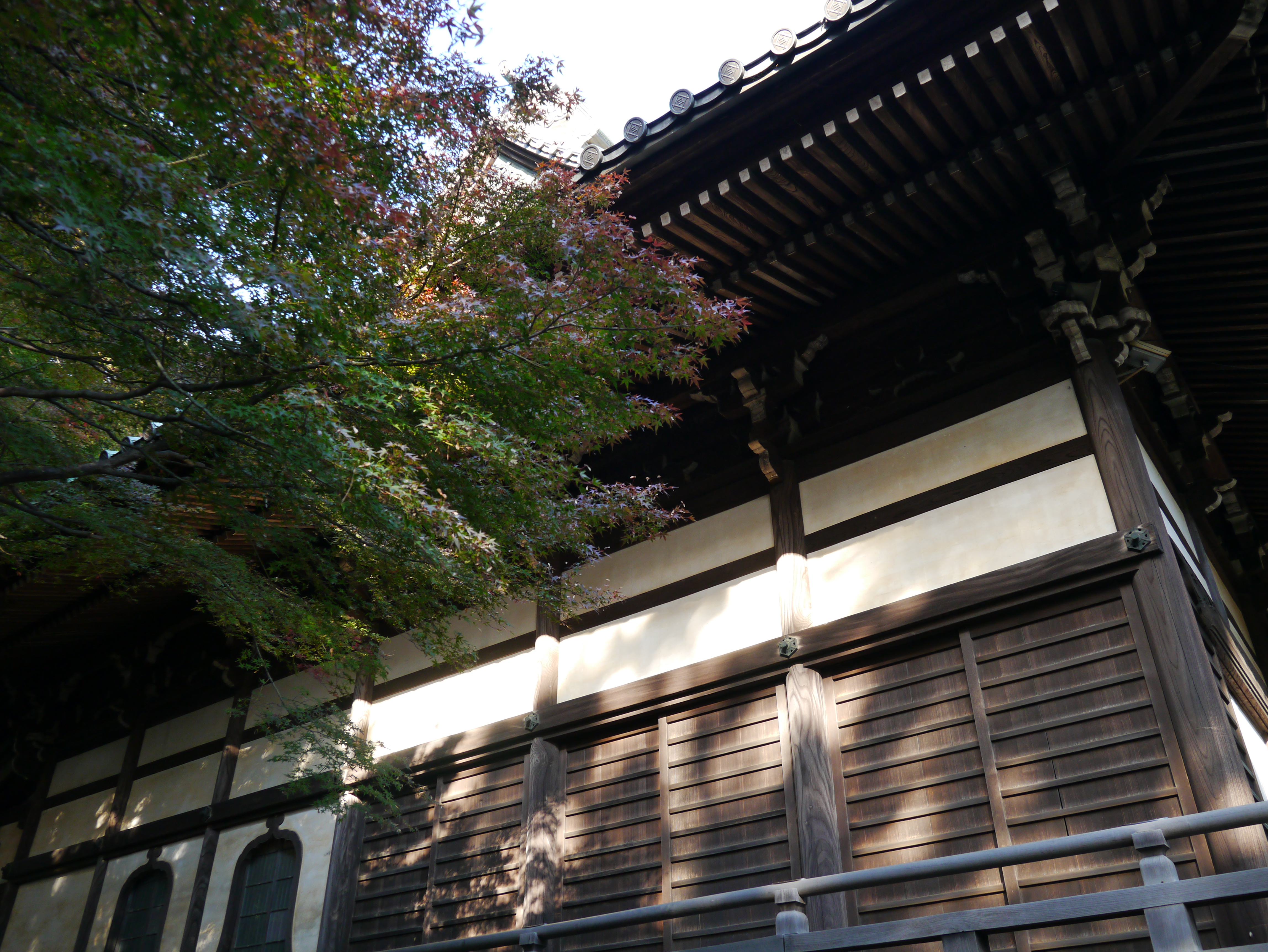 <b>iDレンジコントロール:弱 / DMC-GX1 / LUMIX G X VARIO PZ 14-42mm F3.5-5.6 ASPH. POWER O.I.S. / 約8.5MB / 4,592×3,448 / 1/60秒 / F5 / 0.0EV / ISO250 / WB:オート / 14mm</b>