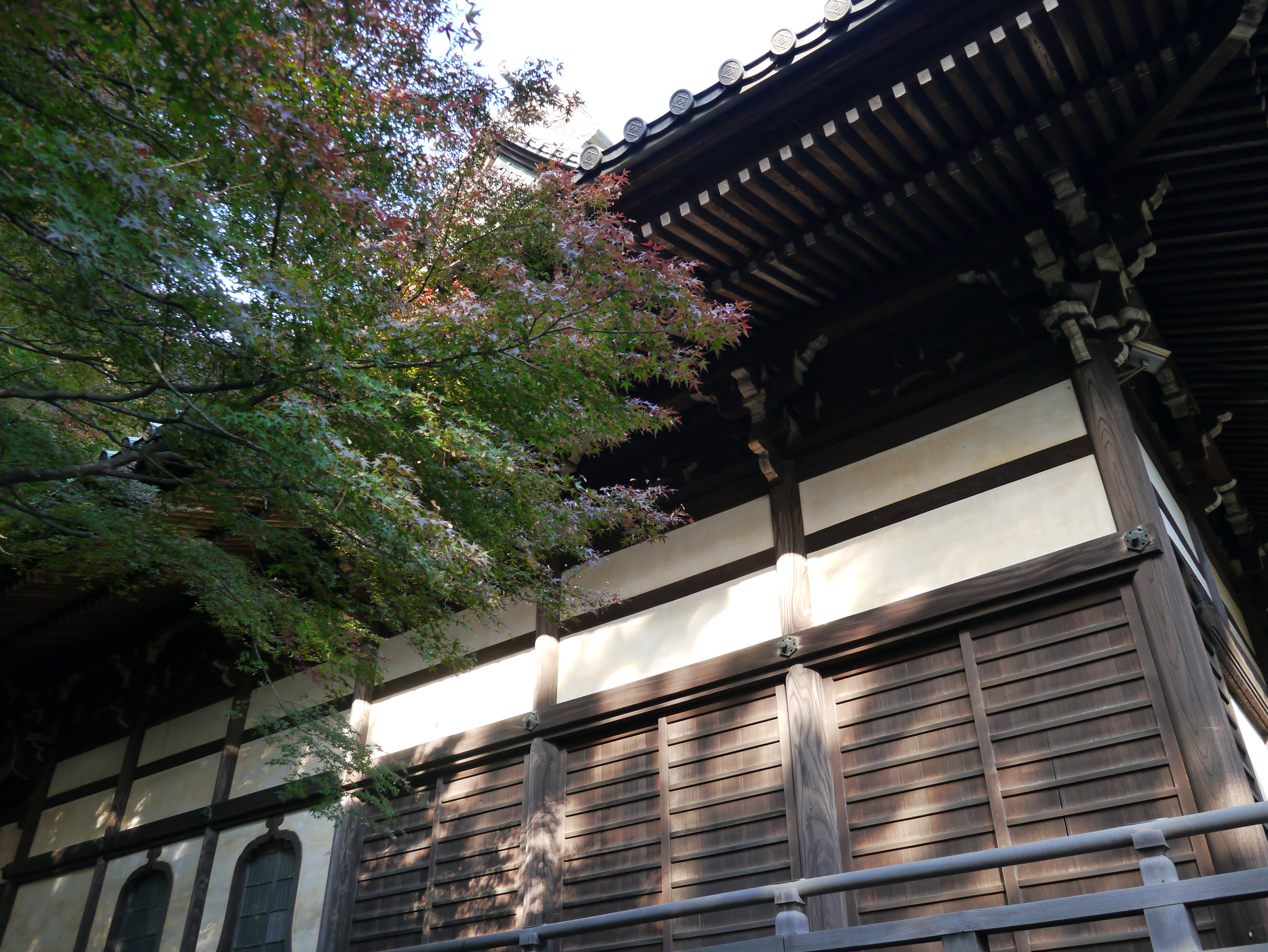 <b>iDレンジコントロール:中 / DMC-GX1 / LUMIX G X VARIO PZ 14-42mm F3.5-5.6 ASPH. POWER O.I.S. / 約8.7MB / 4,592×3,448 / 1/60秒 / F5 / 0.0EV / ISO250 / WB:オート / 14mm</b>