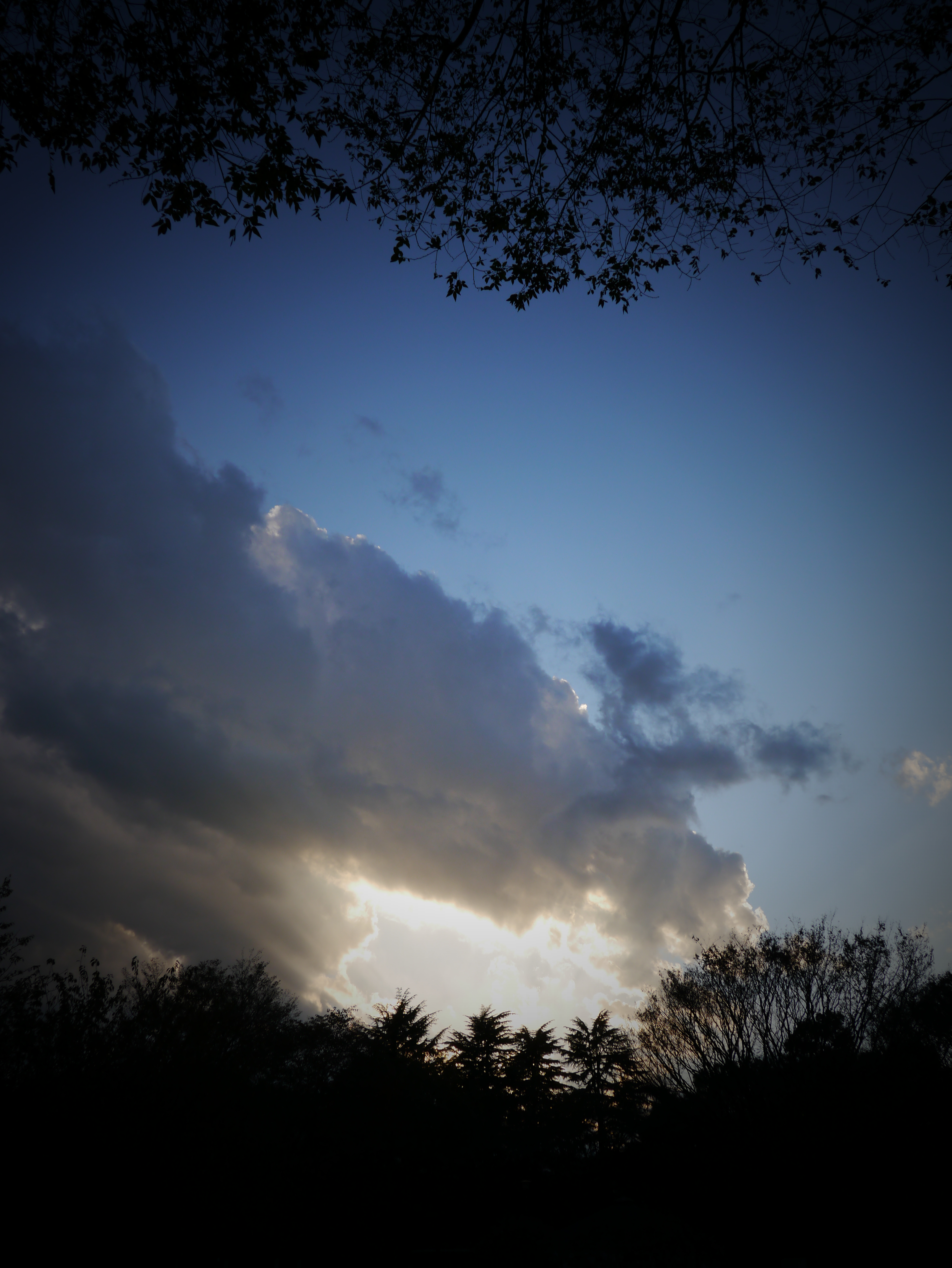 <b>DMC-GX1 / LUMIX G X VARIO PZ 14-42mm F3.5-5.6 ASPH. POWER O.I.S. / 約4.5MB / 3,448×4,592 / 1/500秒 / F7.1 / -0.7EV / ISO160 / WB:オート / 14mm</b>