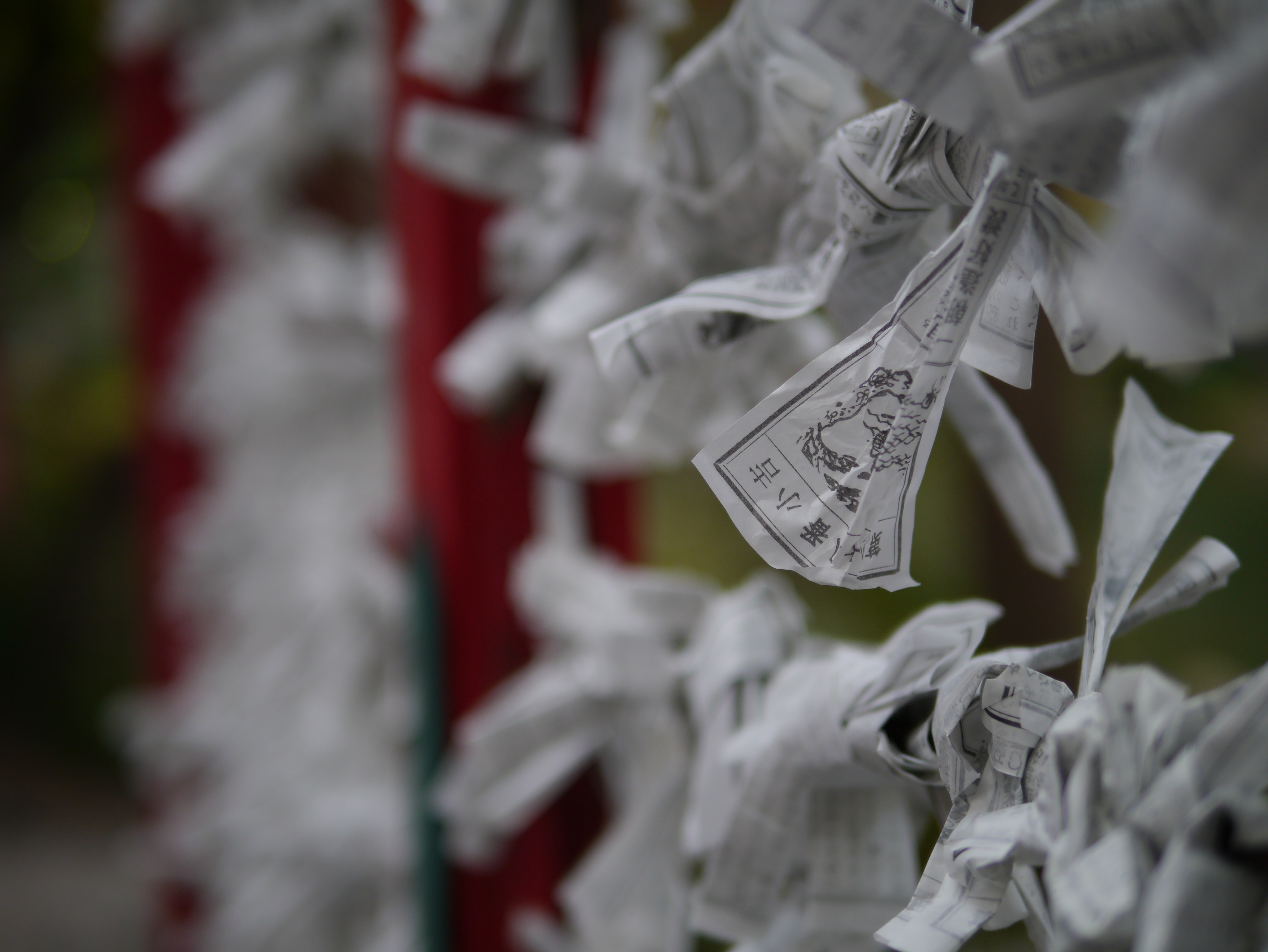 <b>DMC-GX1 / LEICA DG SUMMILUX 25mm F1.4 ASPH. / 約5.0MB / 4,592×3,448 / 1/160秒 / F1.4 / 0.0EV / ISO160 / WB:オート / 25mm</b>