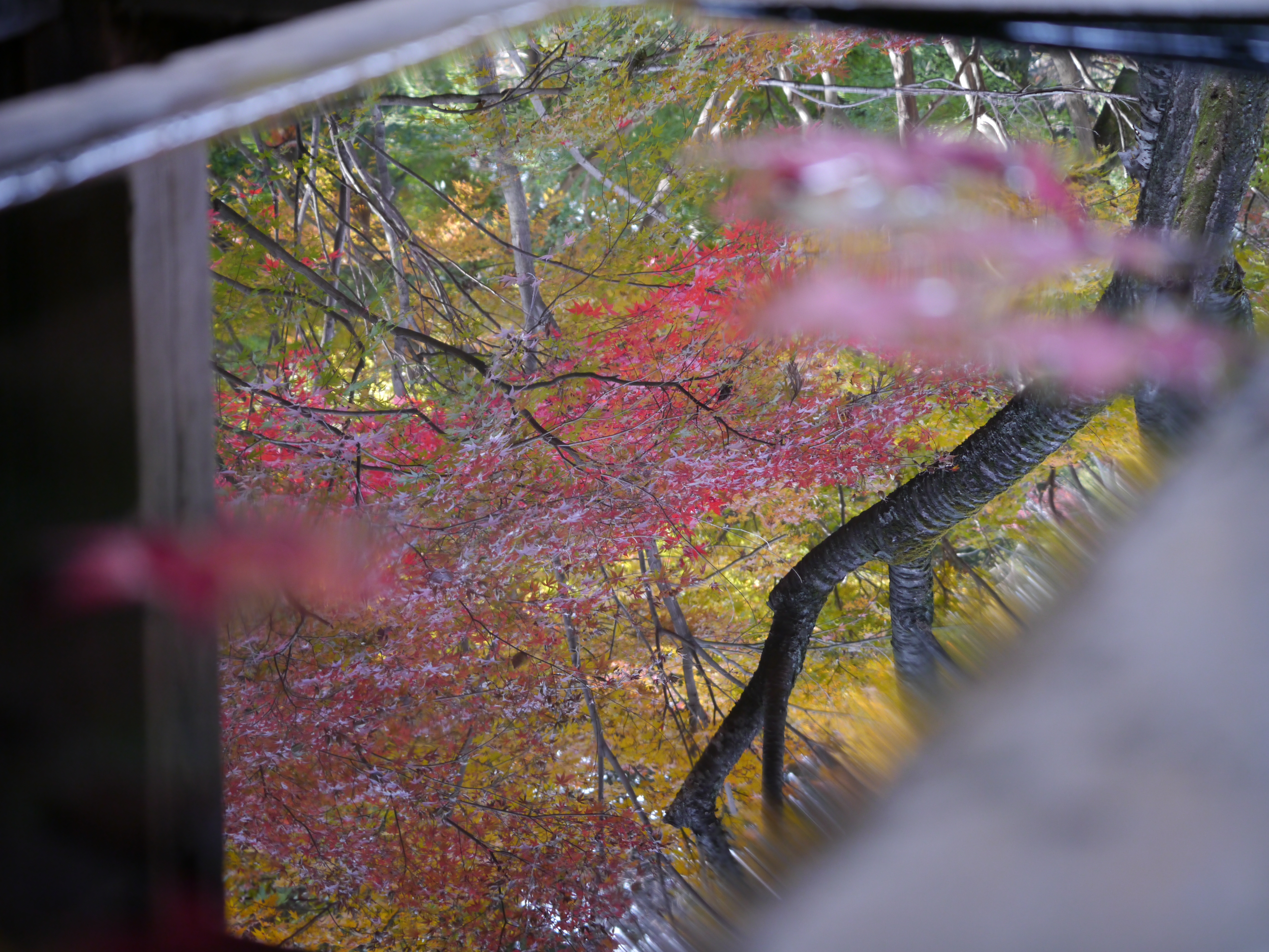 <b>DMC-GX1 / LUMIX G X VARIO PZ 45-175mm F3.5-5.6 ASPH. POWER O.I.S. / 約7.5MB / 4,592×3,448 / 1/30秒 / F4 / 0.0EV / ISO400 / WB:オート / 45mm</b>