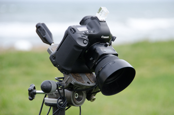 <b>両チームとも本日のカメラはキヤノンEOS-1Ds。ブツ撮りの野口さんは主にTS-Eレンズでアオリを使っていく。HALくんは28mm、35mm、50mm、85mmをメインに使っている。ダミー人物で構図を覗くときにはたいてい、24-70mmを装着してテスト撮影をして画角やレンズを決めていく。小さなカットの場合もこのレンズが多い</b>