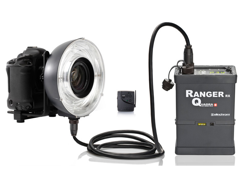<b>Ranger Quadra Eco-Ringflashの使用例</b>