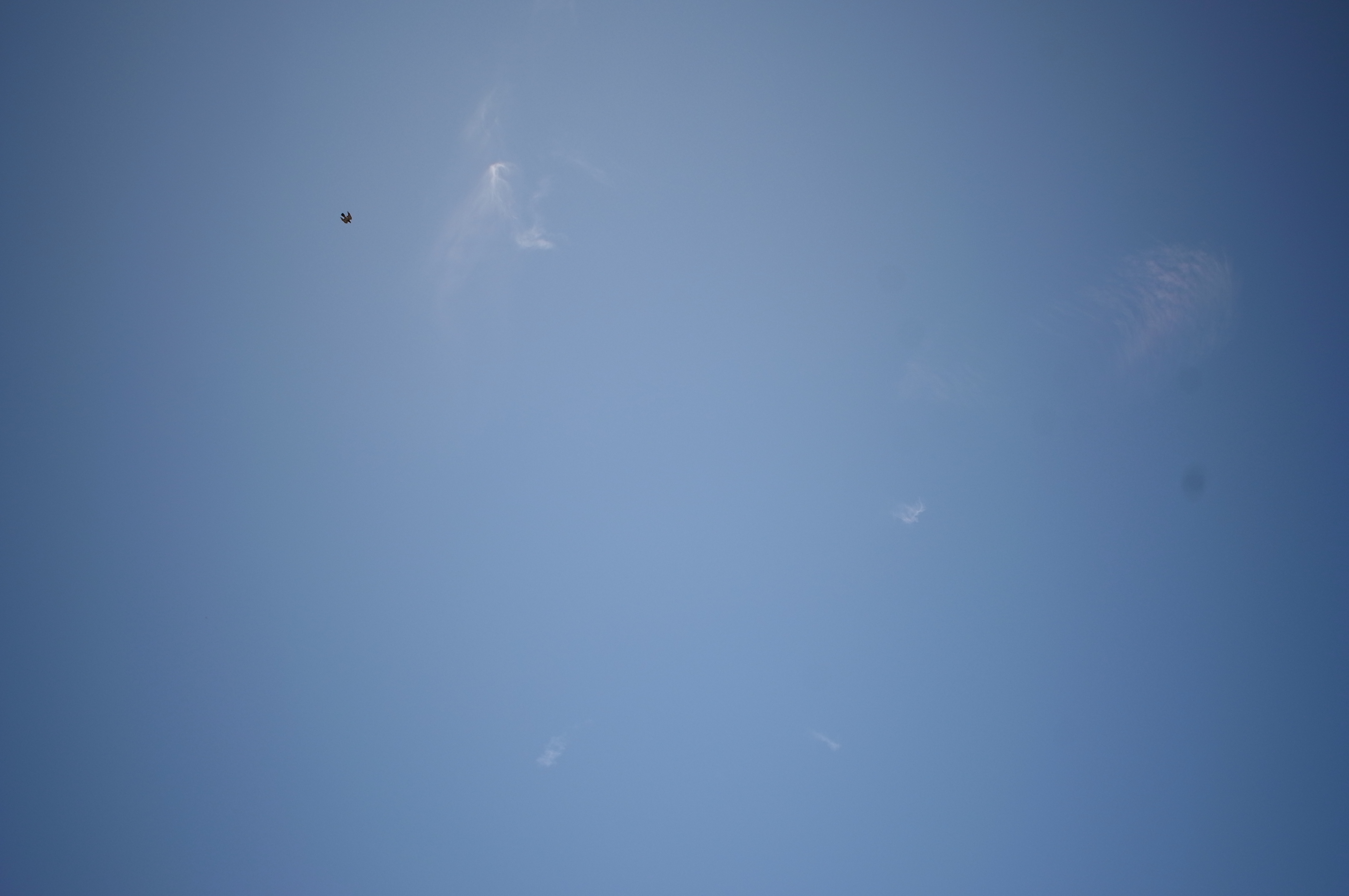 <b>周辺光量補正:-2 / GXR MOUNT A12 / ULTRA WIDE-HELIAR 12mm F5.6 II / 3.7MB / 4,288×2,848 / 1/710秒 / F8 / 0.0EV / ISO200 / WB:屋外 / 12mm</b>