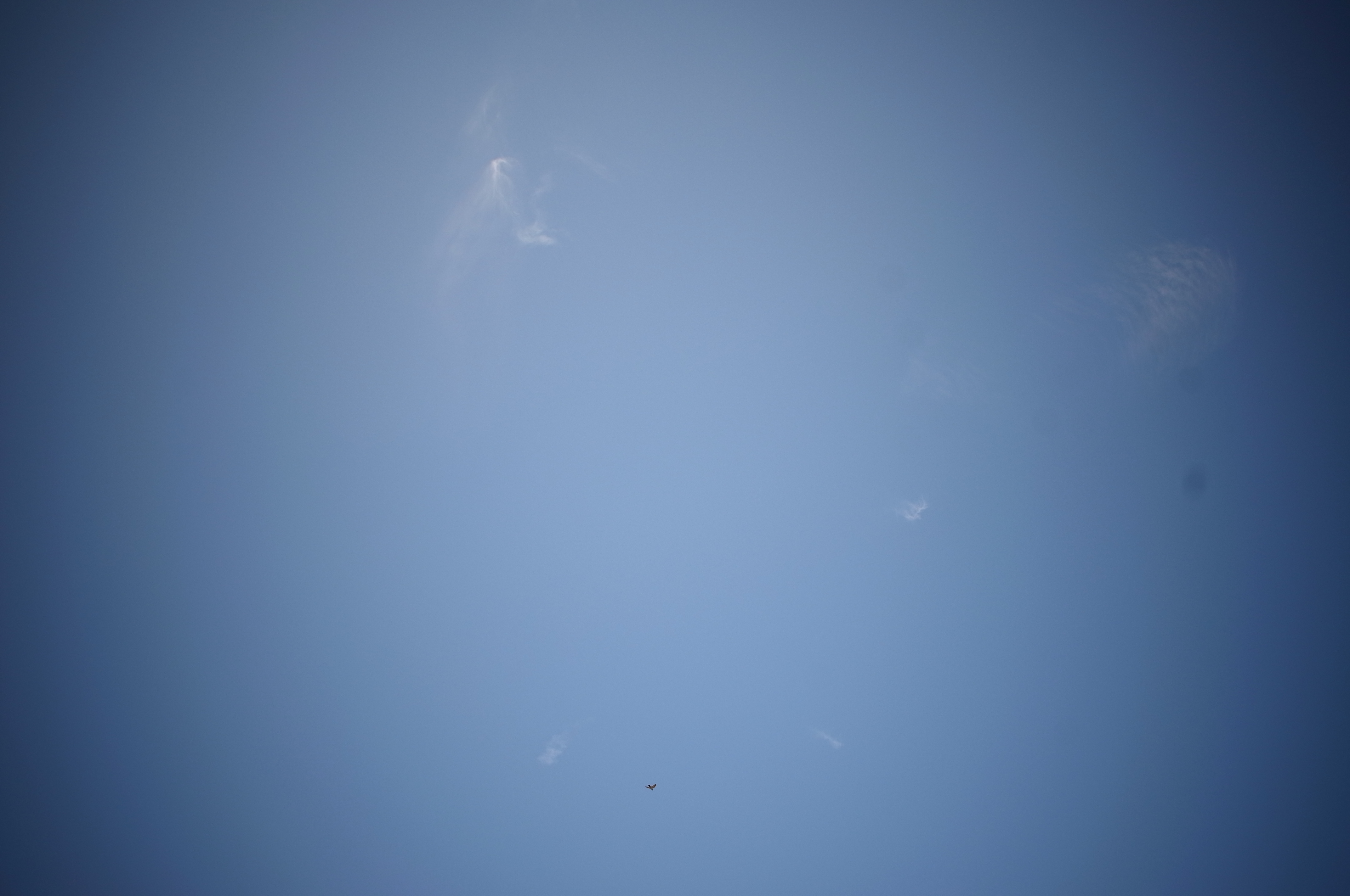 <b>周辺光量補正:-3 / GXR MOUNT A12 / ULTRA WIDE-HELIAR 12mm F5.6 II / 3.6MB / 4,288×2,848 / 1/620秒 / F8 / 0.0EV / ISO200 / WB:屋外 / 12mm</b>