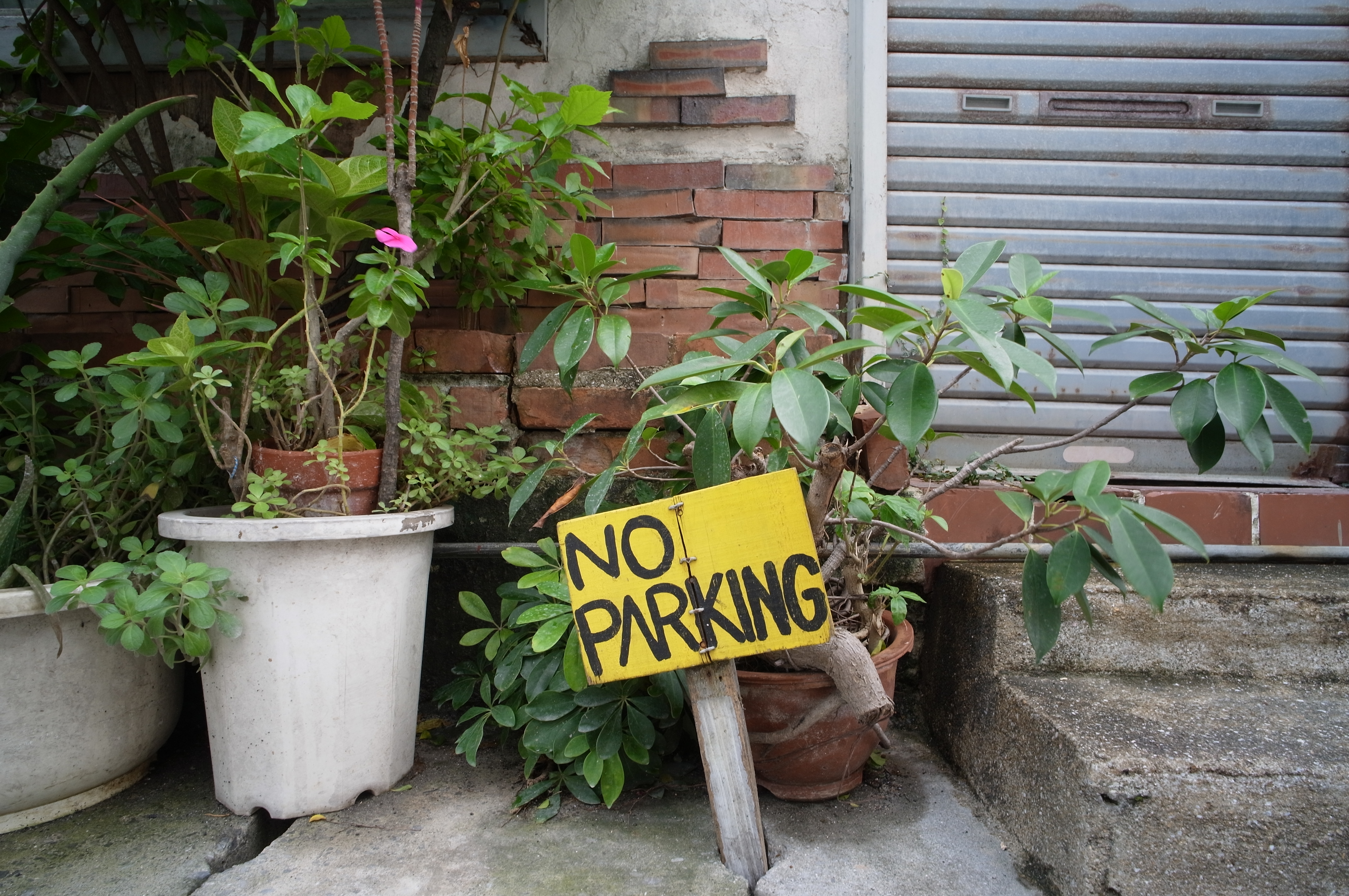 <b>GXR MOUNT A12 / ULTRA WIDE-HELIAR 12mm F5.6 / 4.4MB / 4,288×2,848 / 1/42秒 / F8 / 0.0EV / ISO200 / WB:オート / 12mm</b>