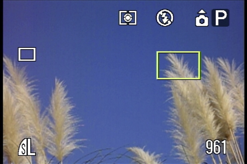 <b>AF枠を任意の位置に移動できる「アクティブフレームコントロール」。この機能、PowerShot S90やPowerShot S95には搭載されてなく、最新のPowerShot S100でようやく搭載された。……って、7年前のPowerShot S70には搭載されてたんですけどっ。うんうん、賢いゾ、PowerShot S70! しかも、その操作はPowerShot S100よりも簡単＆快適なのデス</b>