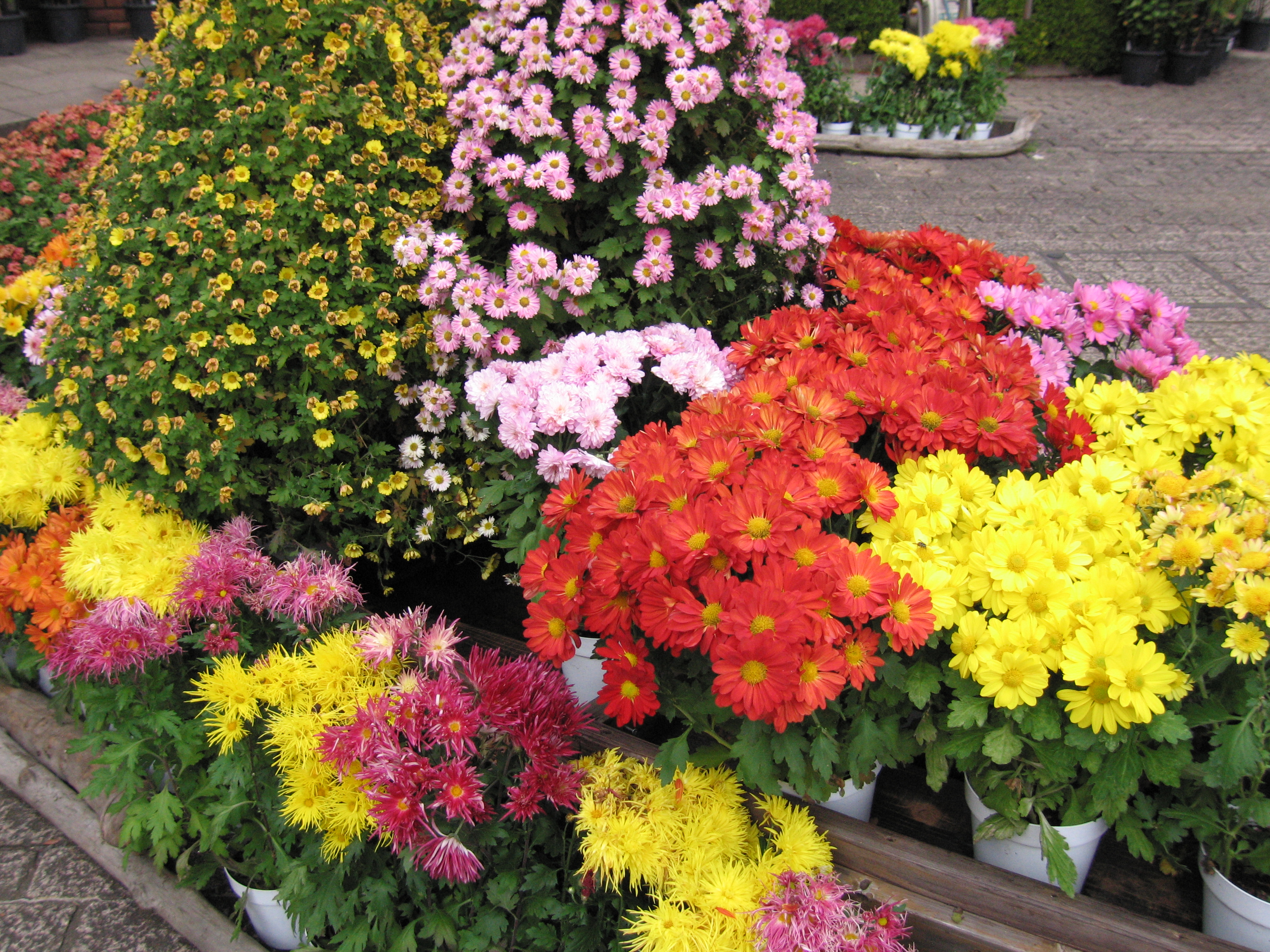 <b>ISO200。PowerShot S70 / 約4.1MB / 3,072×2,304 / 1/1,000秒 / F3.2 / 0EV / ISO200 / WB:オート / 7.3mm</b>