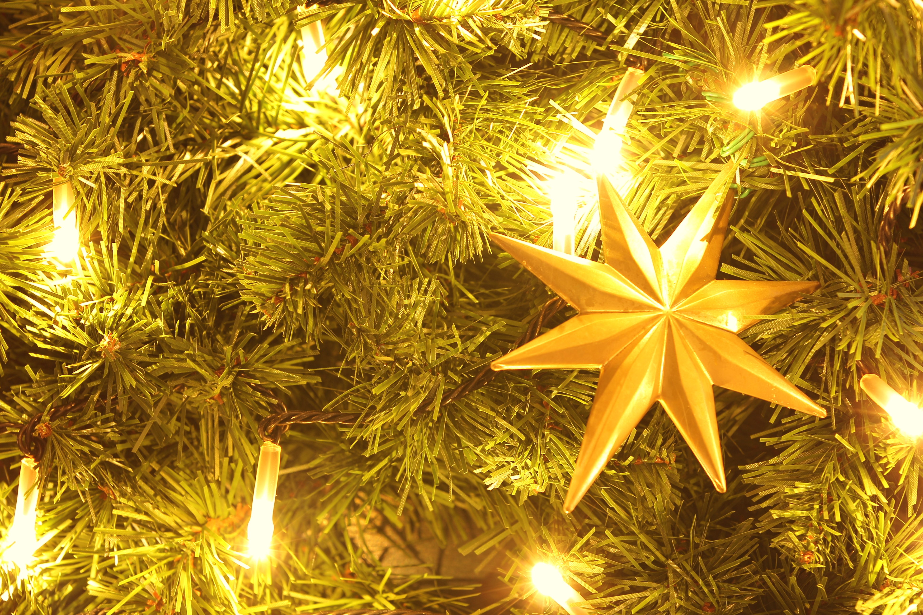 <b>WB:日陰 / EOS 60D / EF 70-200mm F2.8 L IS II USM / 約8.9MB / 3,888×2,592 / 4秒 / F5.6 / +0.7EV / ISO100 / 100mm</b>