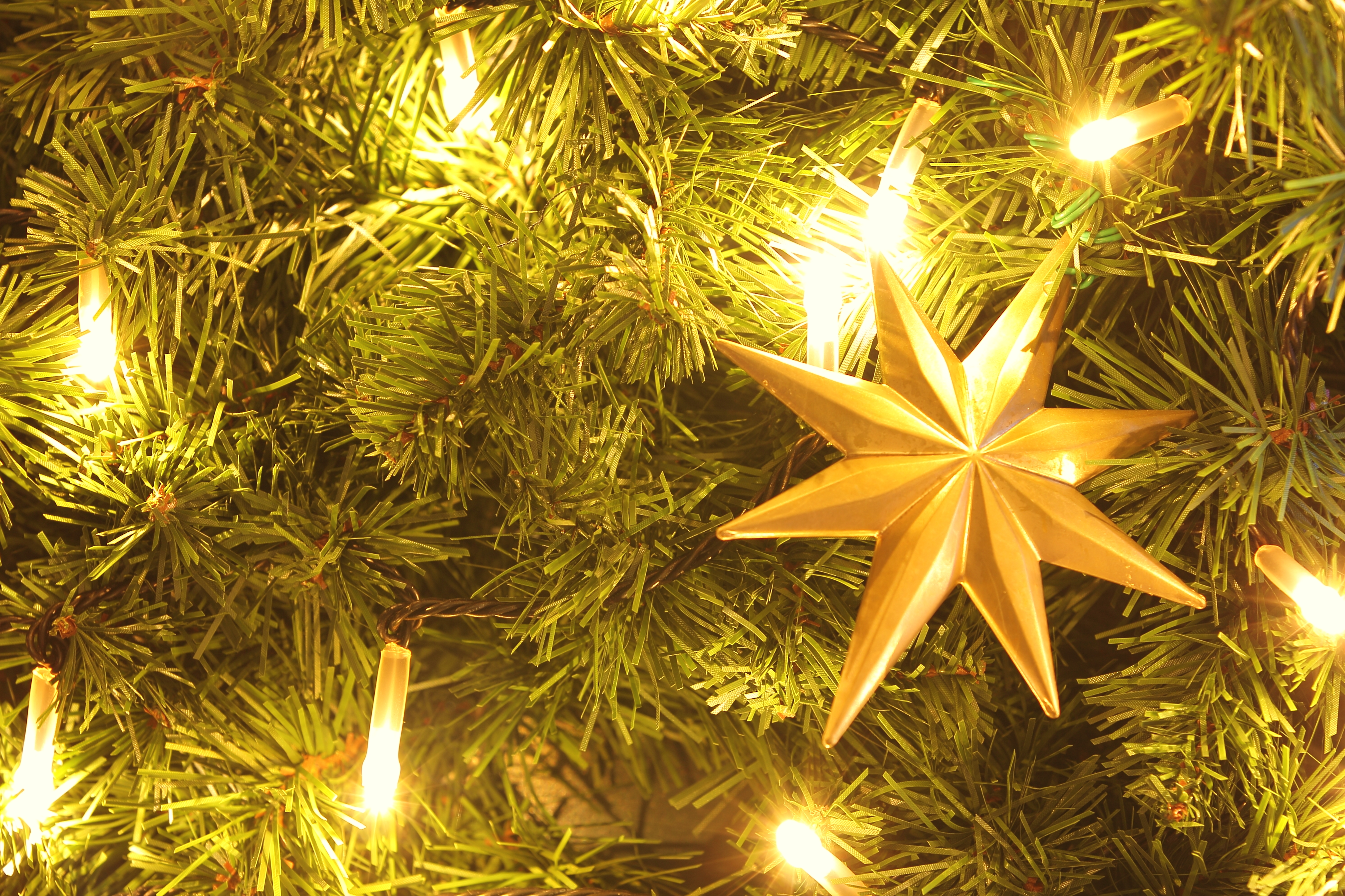 <b>WB:くもり / EOS 60D / EF 70-200mm F2.8 L IS II USM / 約8.6MB / 3,888×2,592 / 3秒 / F5.6 / +0.3EV / ISO100 / 100mm</b>