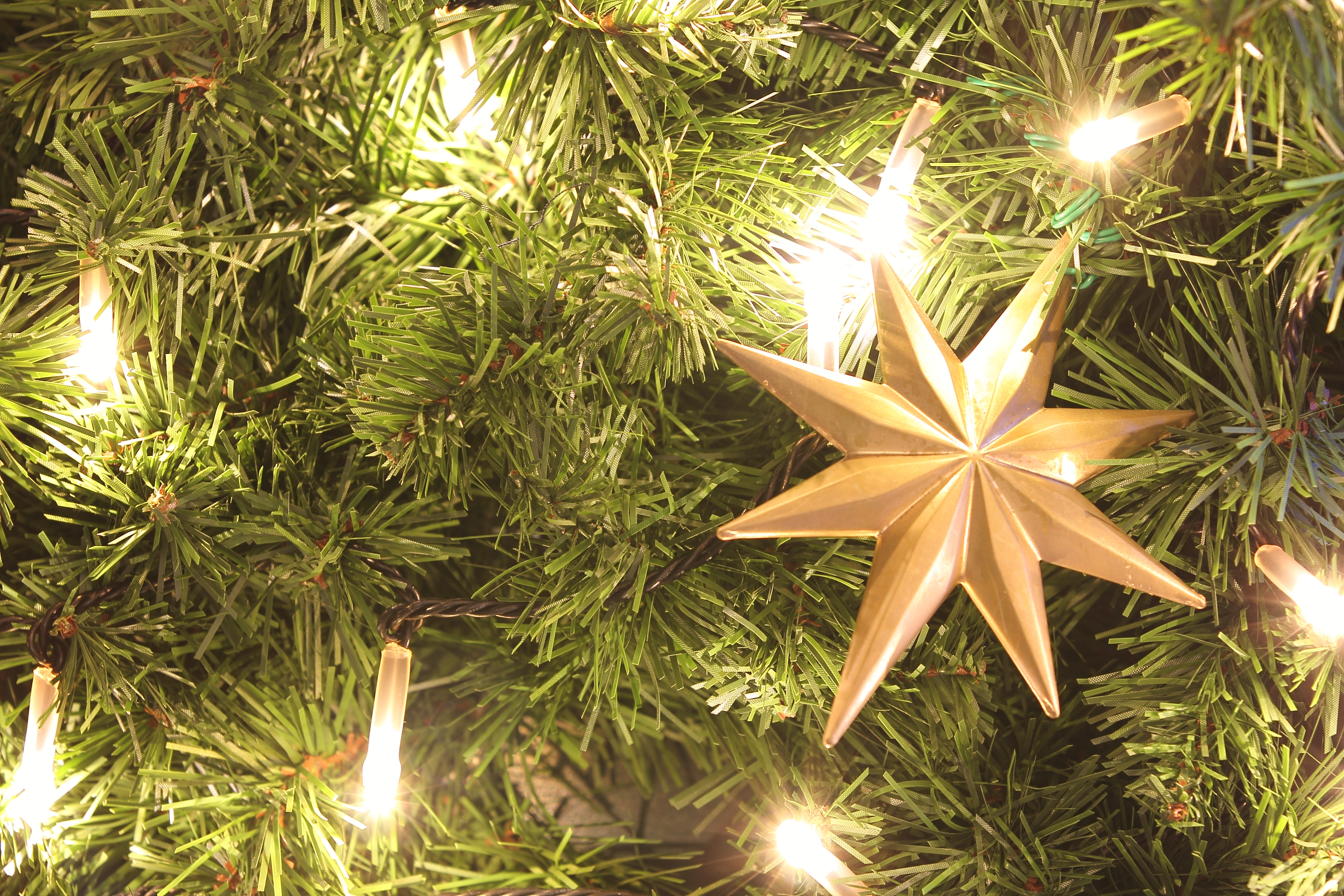 <b>WB:蛍光灯 / EOS 60D / EF 70-200mm F2.8 L IS II USM / 約8.3MB / 3,888×2,592 / 3秒 / F5.6 / +0.3EV / ISO100 / 100mm</b>