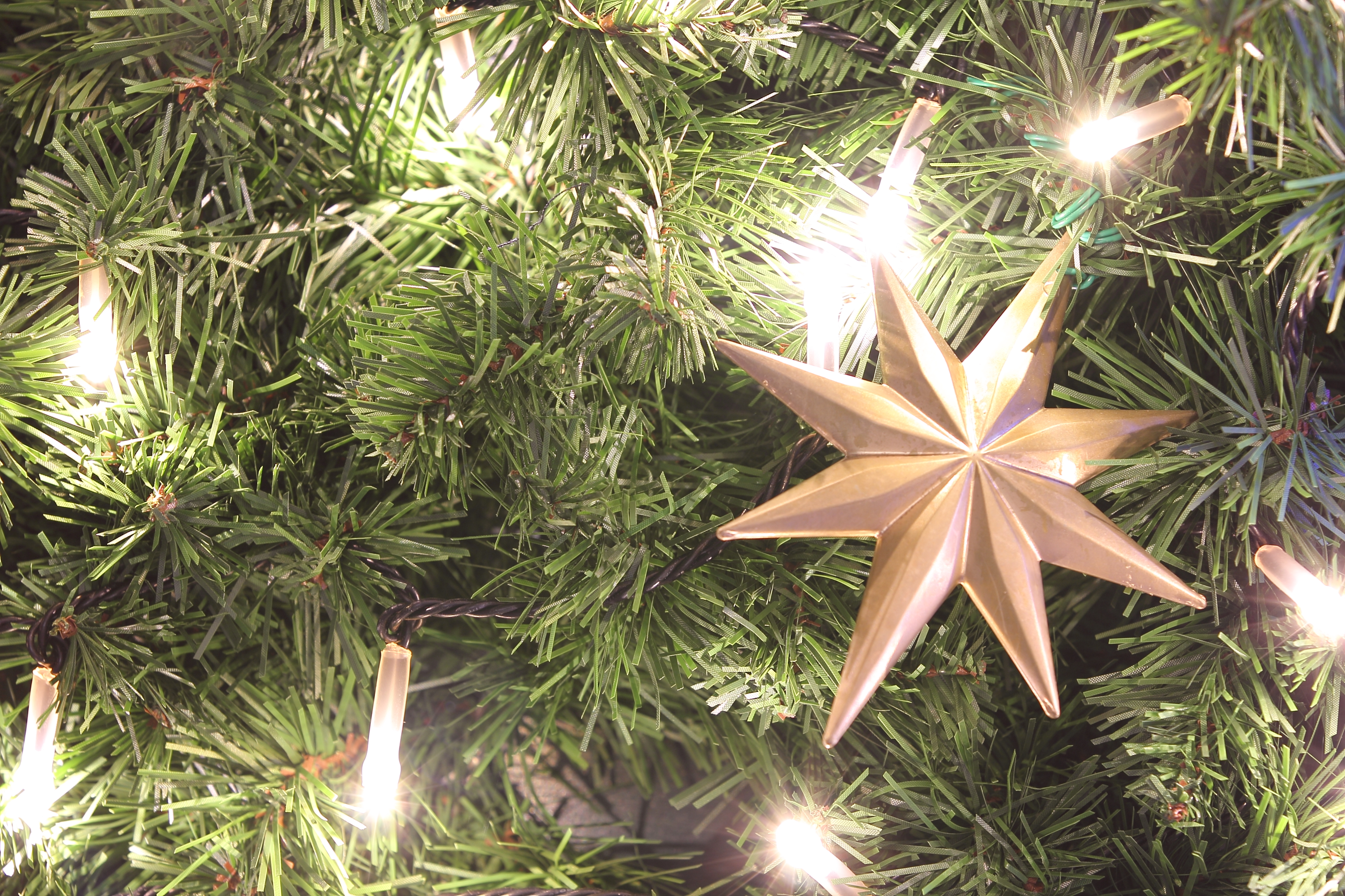 <b>WB:オート / EOS 60D / EF 70-200mm F2.8 L IS II USM / 約8.0MB / 3,888×2,592 / 3秒 / F5.6 / +0.3EV / ISO100 / 100mm</b>