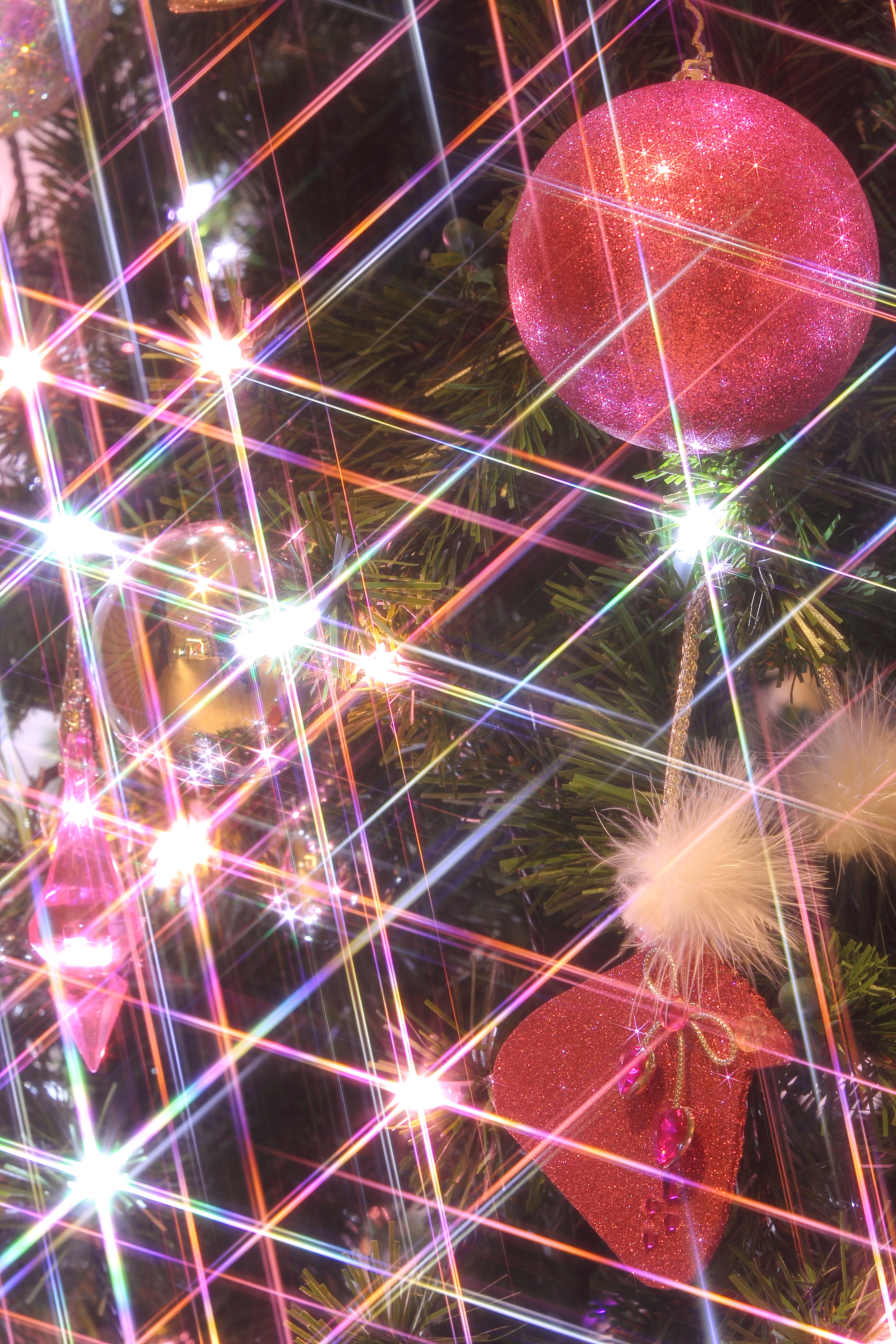 <b>クロスフィルターを使用 / EOS 60D / EF 70-200mm F2.8 L IS II USM / 約7.5MB / 2,592×3,888 / 4秒 / F11 / 0.0EV / ISO100 / WB:太陽光 / 100mm</b>