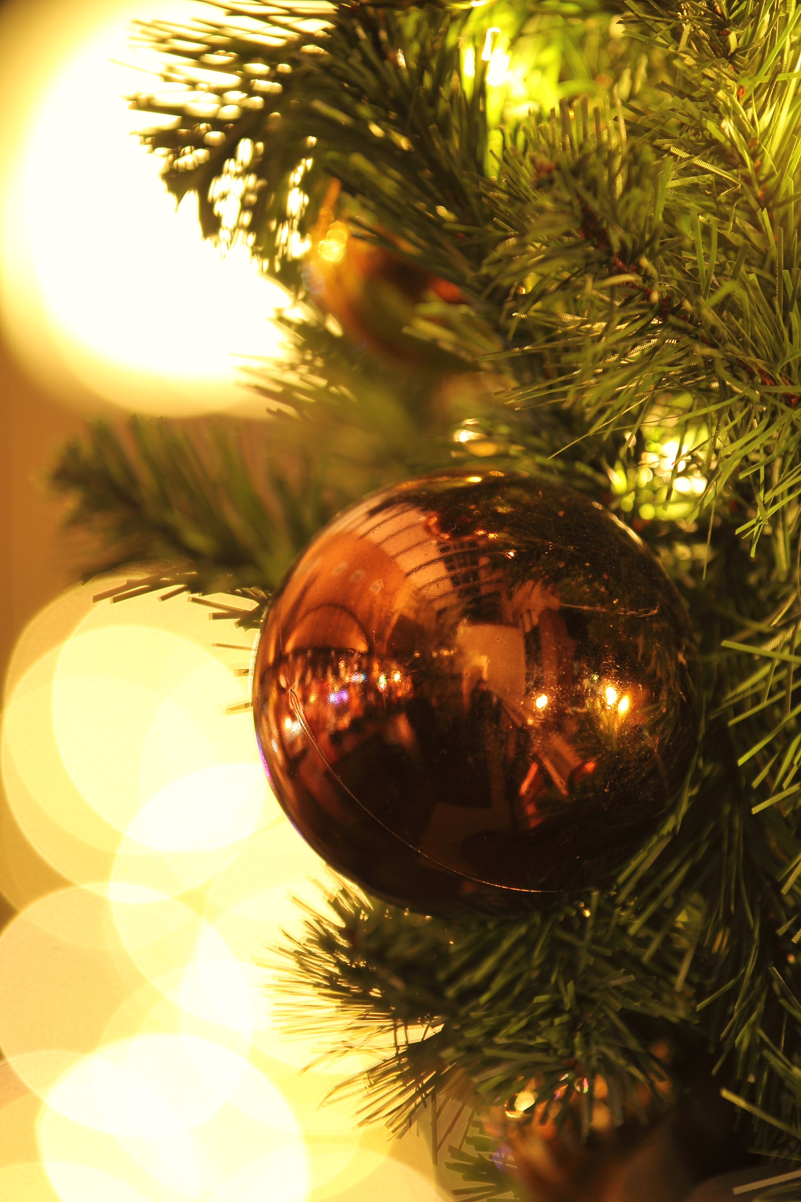 <b>F2.8 / EOS 60D / EF 70-200mm F2.8 L IS II USM / 約5.4MB / 2,592×3,888 / 1/2秒 / +0.7EV / ISO100 / WB:太陽光 / 145mm</b>