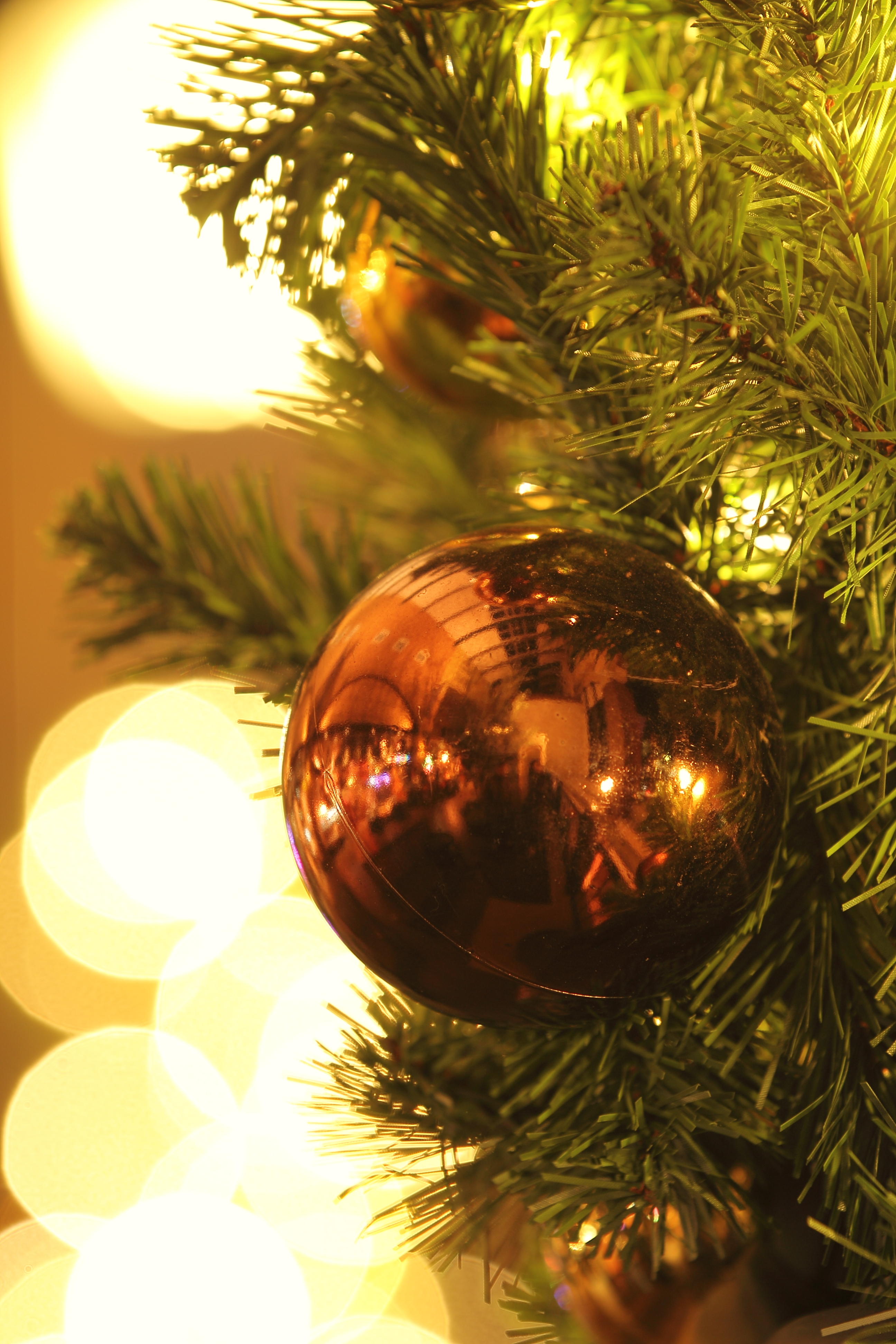 <b>F4 / EOS 60D / EF 70-200mm F2.8 L IS II USM / 約5.5MB / 2,592×3,888 / 1.0秒 / +0.7EV / ISO100 / WB:太陽光 / 145mm</b>