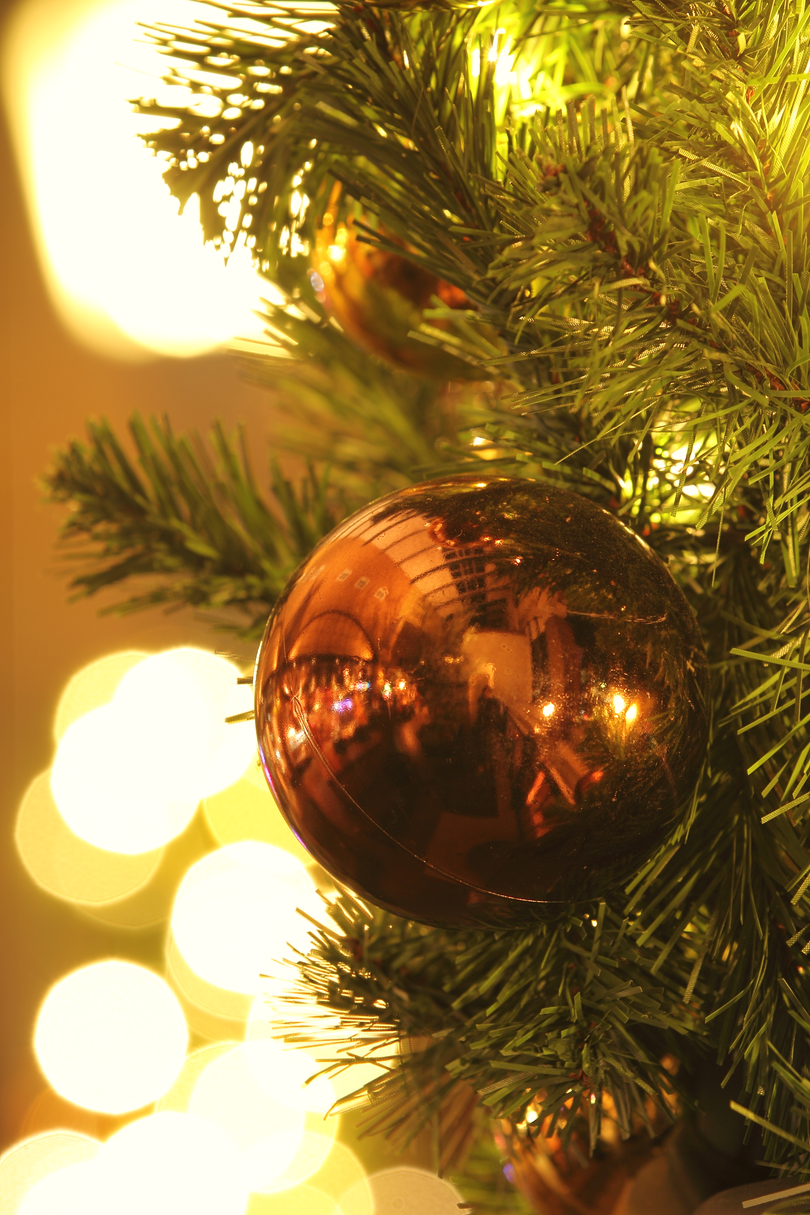 <b>F5.6 / EOS 60D / EF 70-200mm F2.8 L IS II USM / 約5.7MB / 2,592×3,888 / 2秒 / +0.7EV / ISO100 / WB:太陽光 / 145mm</b>