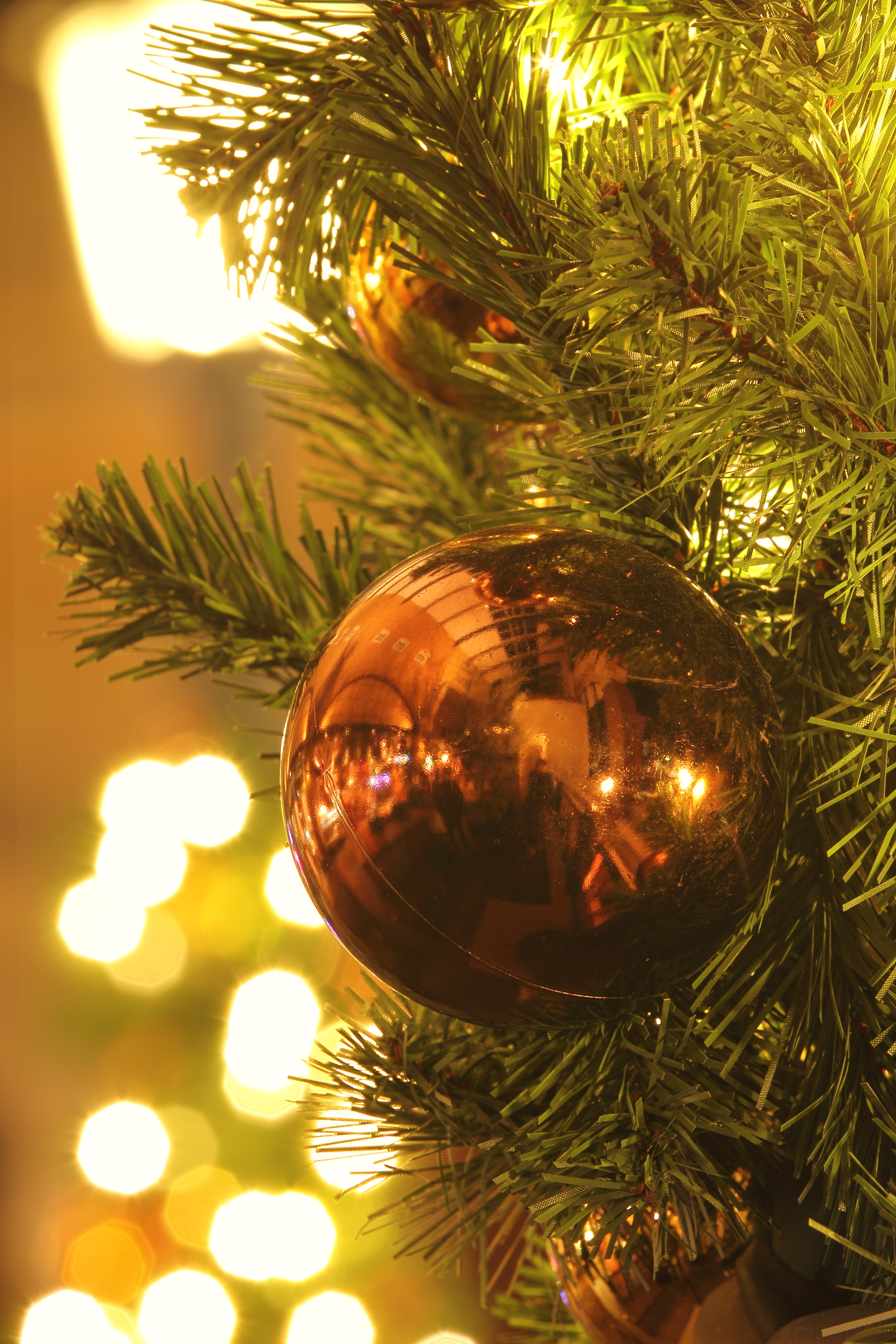 <b>F11 / EOS 60D / EF 70-200mm F2.8 L IS II USM / 約6.4MB / 2,592×3,888 / 8秒 / +0.7EV / ISO100 / WB:太陽光 / 145mm</b>