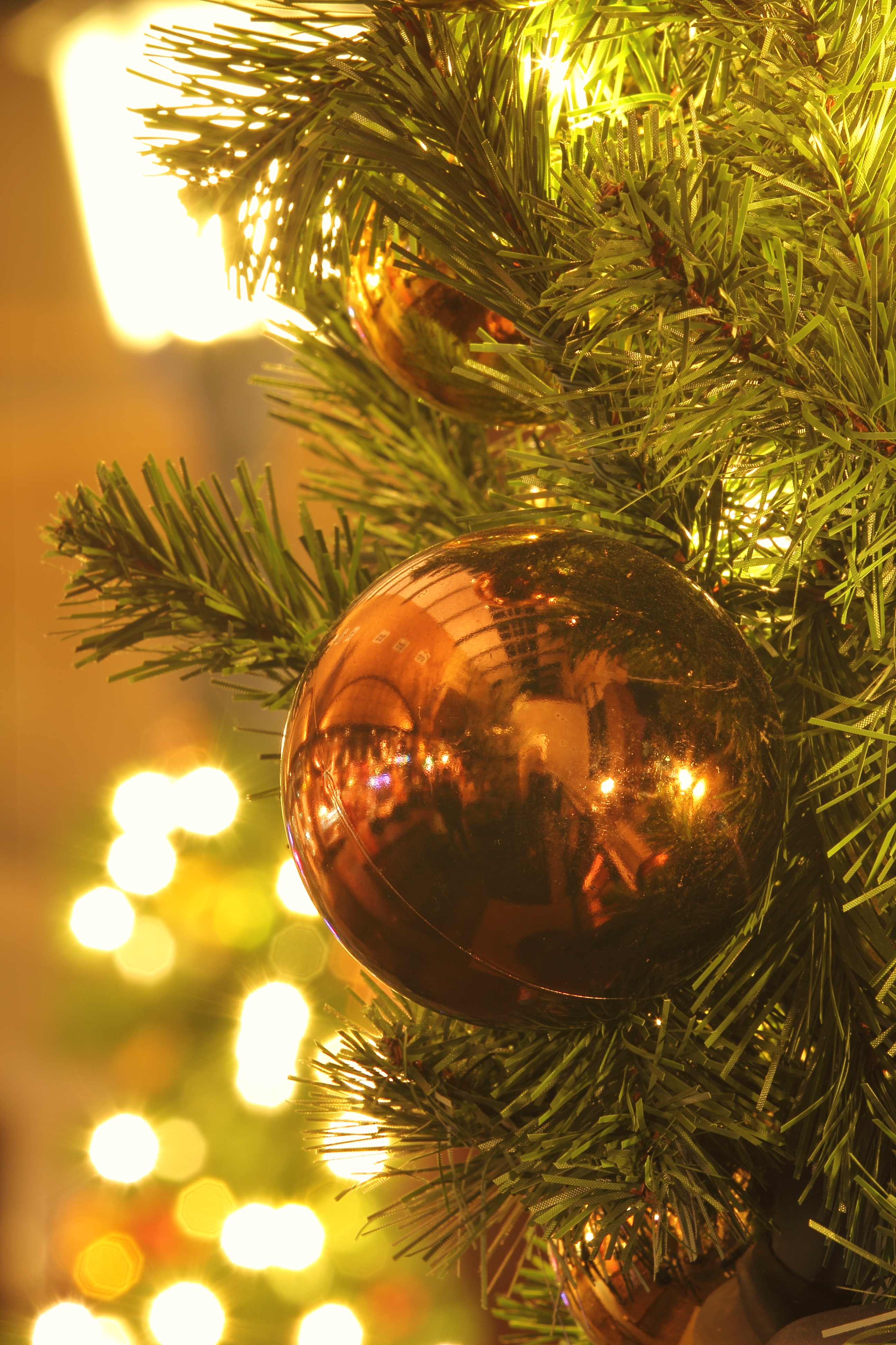 <b>F16 / EOS 60D / EF 70-200mm F2.8 L IS II USM / 約6.6MB / 2,592×3,888 / 15秒 / +0.7EV / ISO100 / WB:太陽光 / 145mm</b>