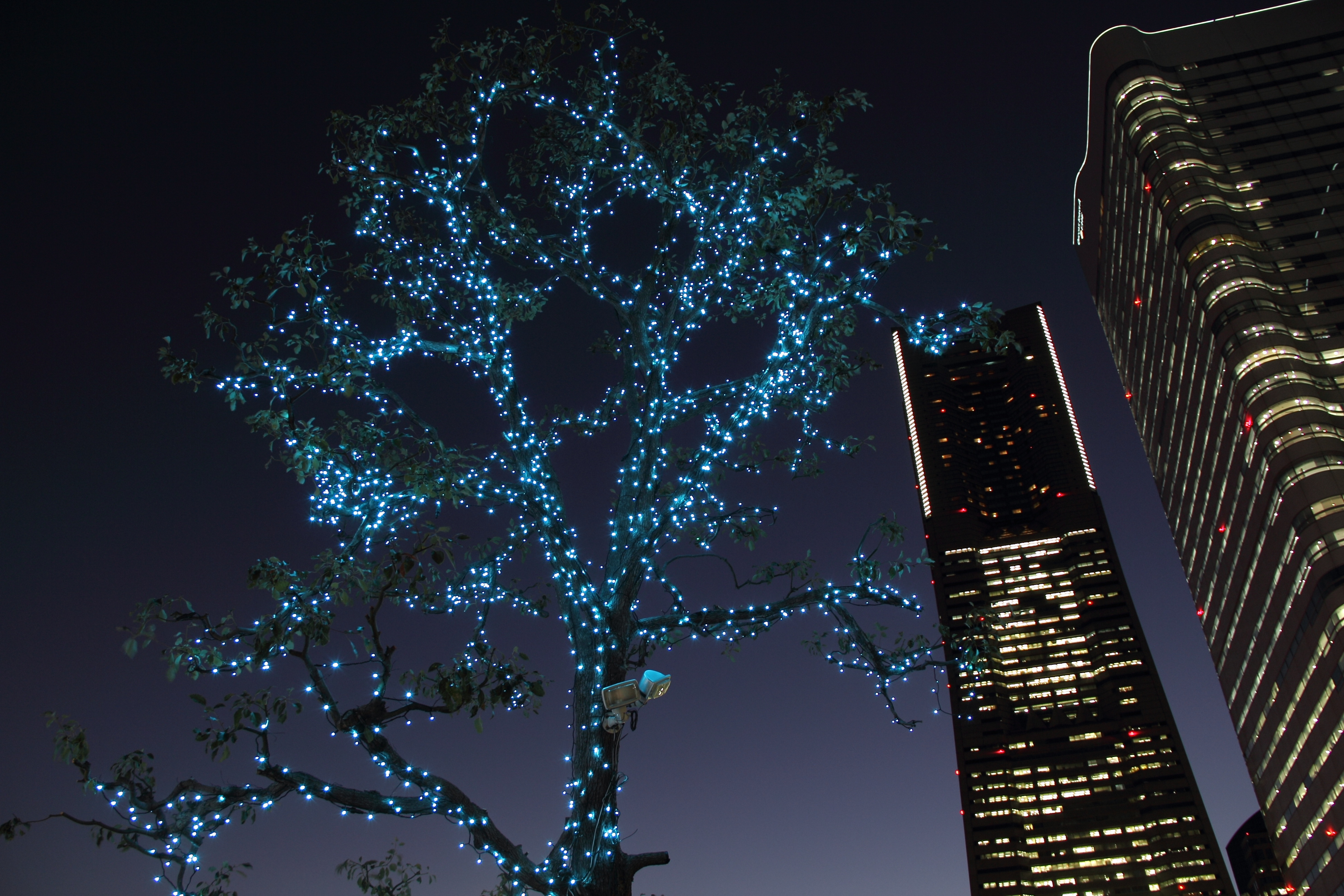 <b>EOS 60D / EF-S 18-135mm F3.5-5.6 IS / 約6.5MB / 3,888×2,592 / 1/4秒 / F4.5 / +1.0EV / ISO200 / WB:太陽光 / 18mm</b>