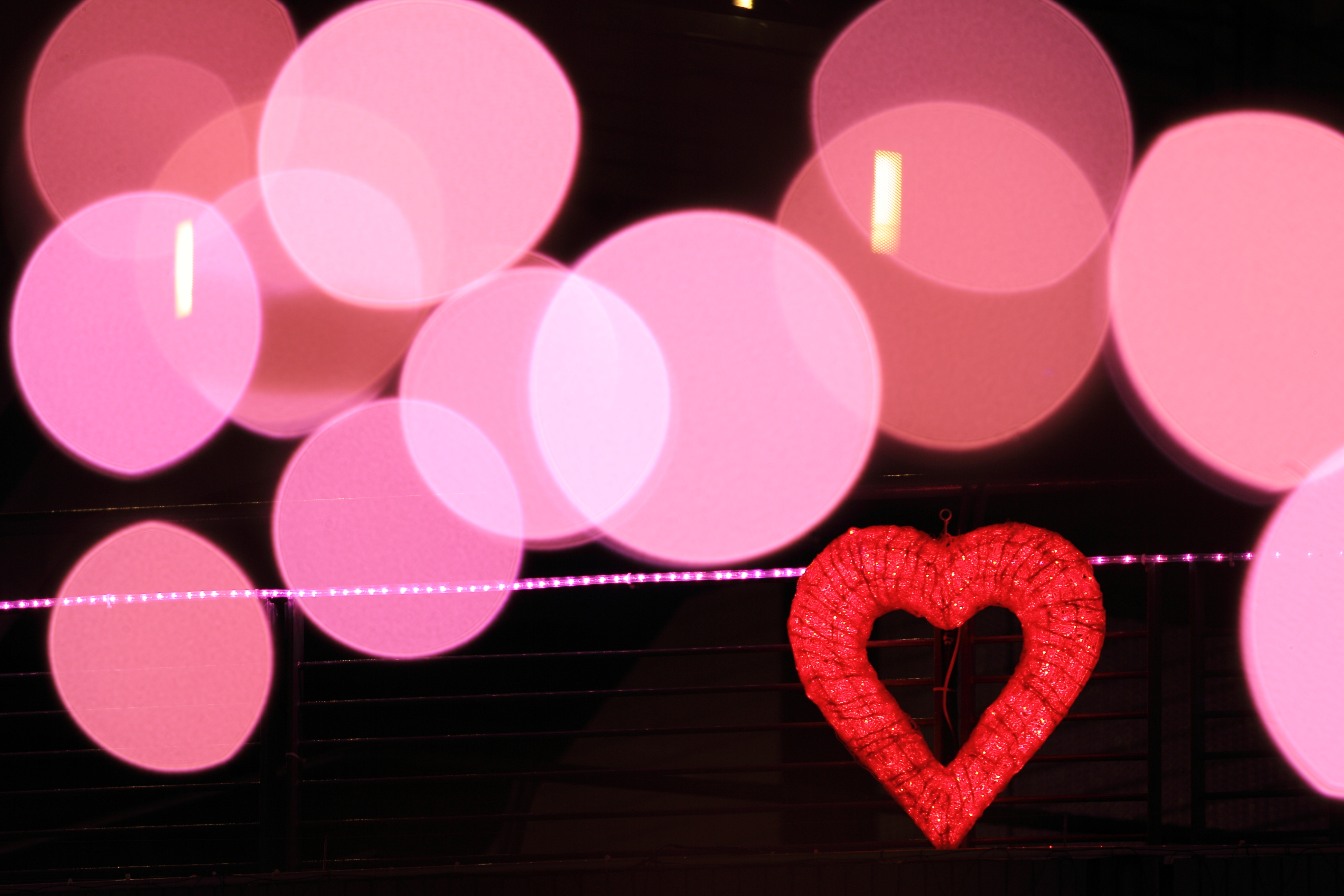 <b>EOS 60D / EF 70-200mm F2.8 L IS II USM / 約4.8MB / 3,888×2,592 / 1/20秒 / F2.8 / 0.0EV / ISO100 / WB:太陽光 / 200mm</b>