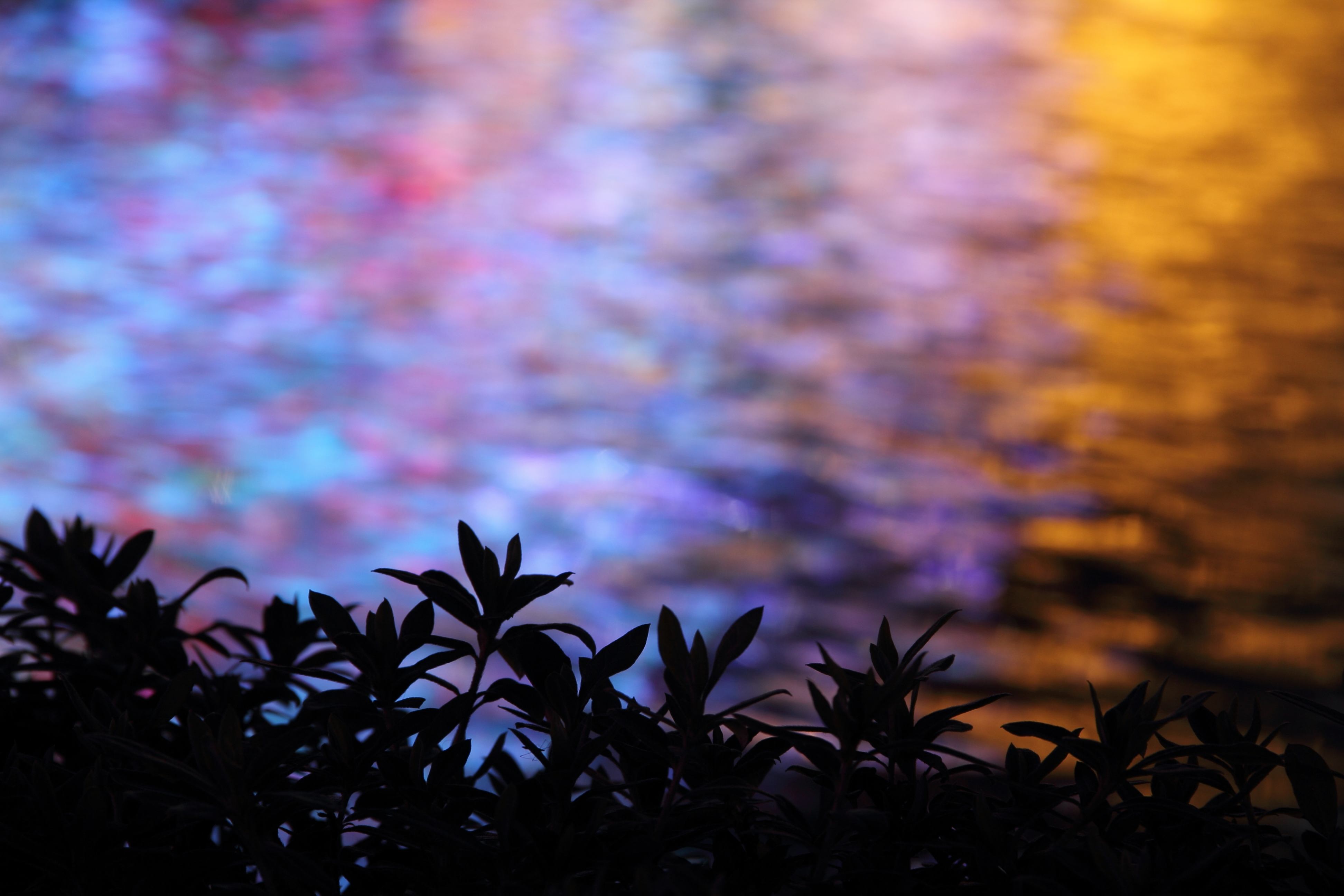 <b>EOS 60D / EF-S 18-135mm F3.5-5.6 IS / 約4.8MB / 3,888×2,592 / 1/2秒 / F8 / -0.7EV / ISO100 / WB:太陽光 / 135mm</b>