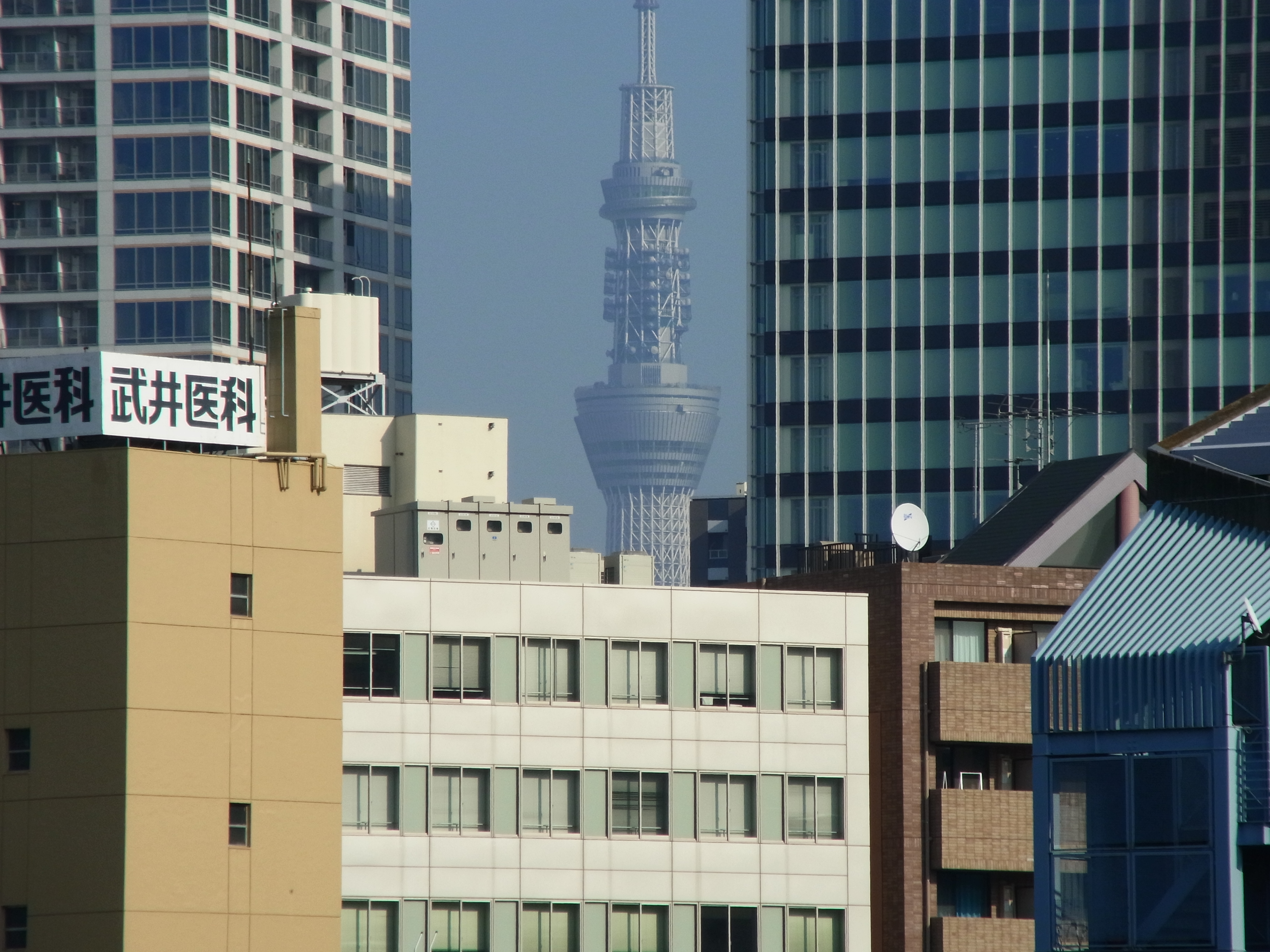 <b>望遠端 / CX6 / 約3.8MB / 3,648×2,736 / 1/1,000秒 / F5.6 / 0.0EV / ISO100 / WB:オート / 52.5mm</b>