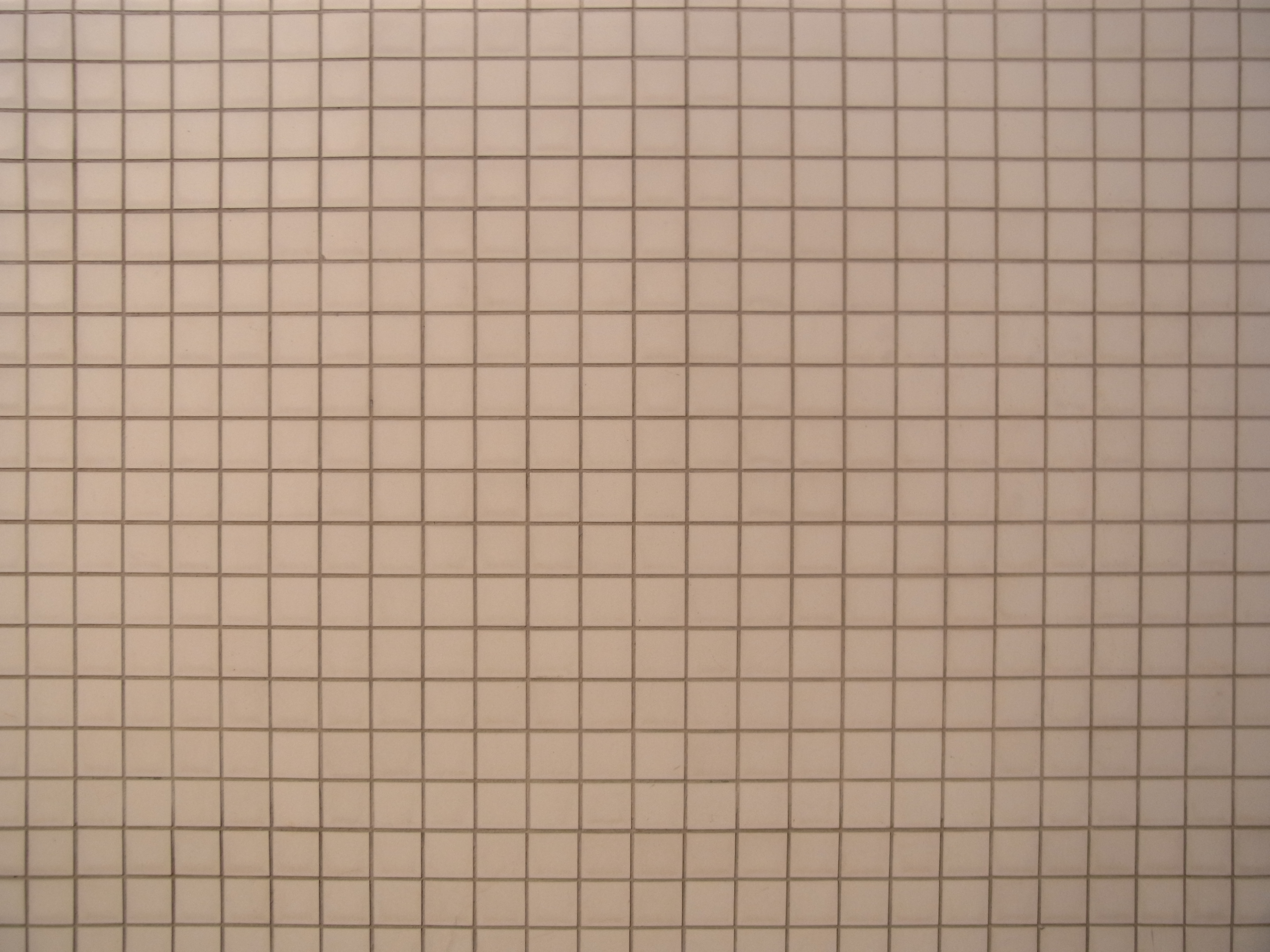 <b>広角端 / CX6 / 約3.7MB / 3,648×2,736 / 1/217秒 / F3.5 / +0.7EV / ISO100 / WB:曇天 / 4.9mm</b>