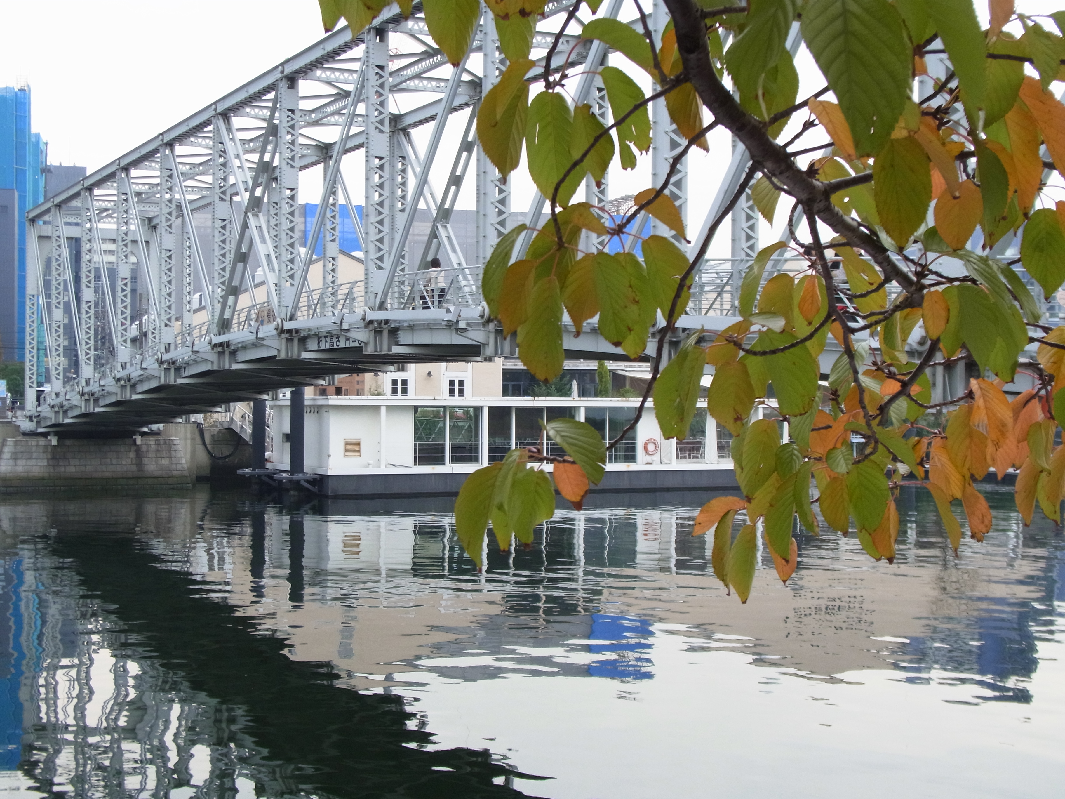 <b>CX6 / 約3.9MB / 3,648×2,736 / 1/90秒 / F4.5 / +0.5EV / ISO209 / WB:オート / 10.5mm</b>