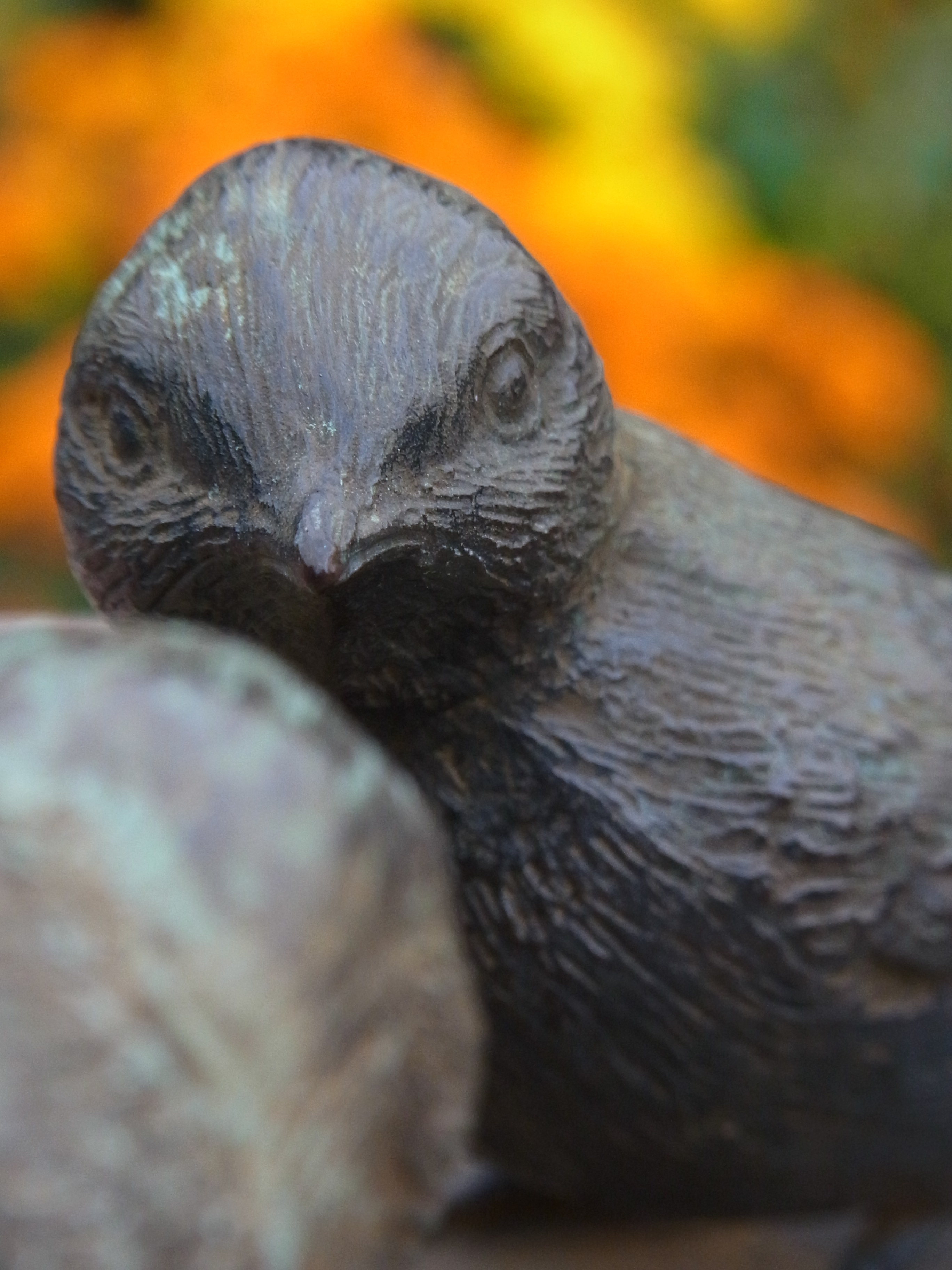 <b>CX6 / 約3.7MB / 2,736×3,648 / 1/133秒 / F5.4 / 0.0EV / ISO400 / WB:オート / 29.1mm</b>