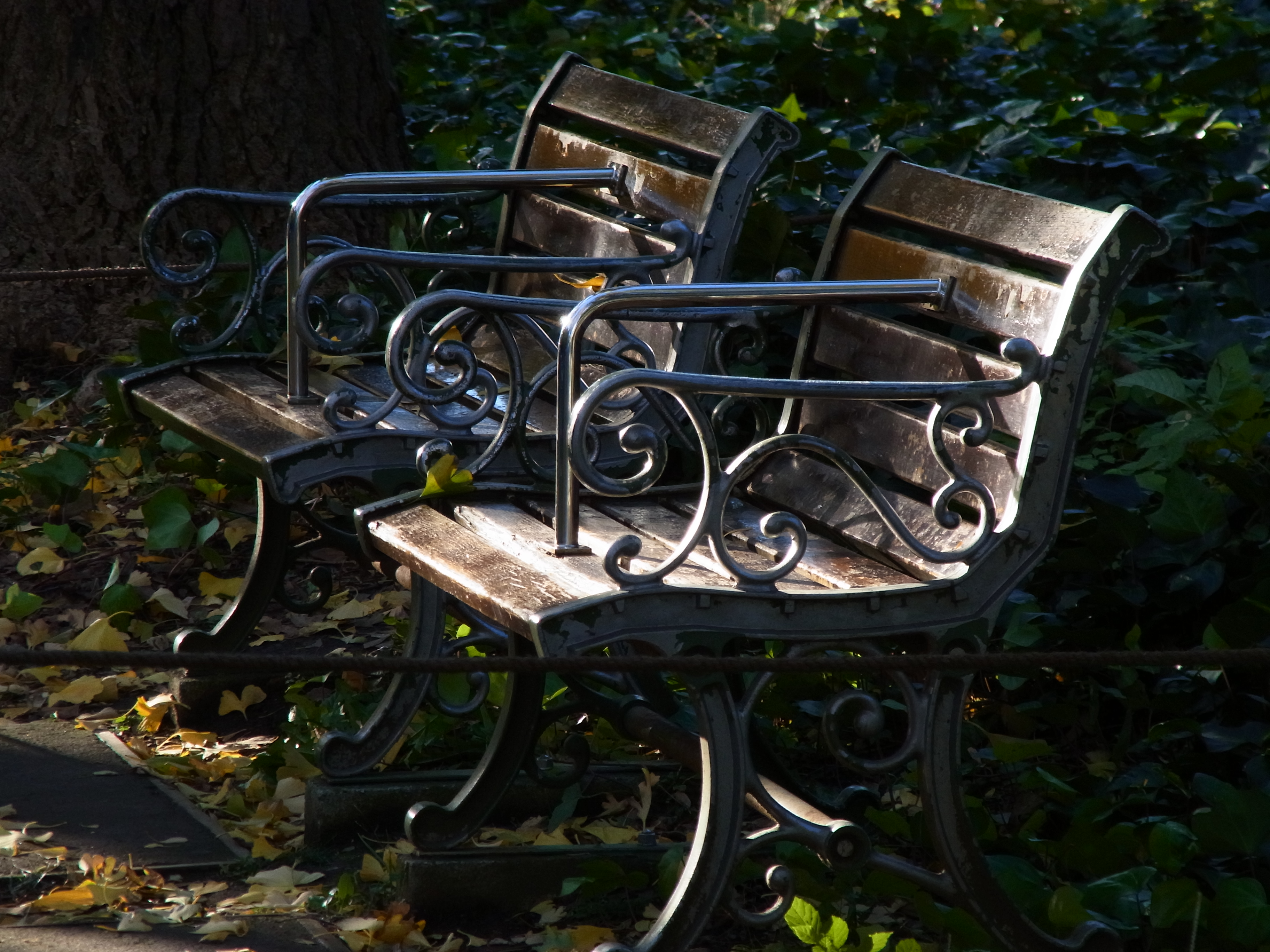 <b>CX6 / 約3.7MB / 3,648×2,736 / 1/189秒 / F5.2 / -0.8EV / ISO176 / WB:オート / 44.5mm</b>