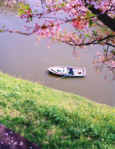 <b>(c)KazuyoshiUsui</b>