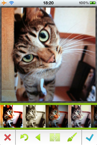 <b>フィルター機能も装備</b>