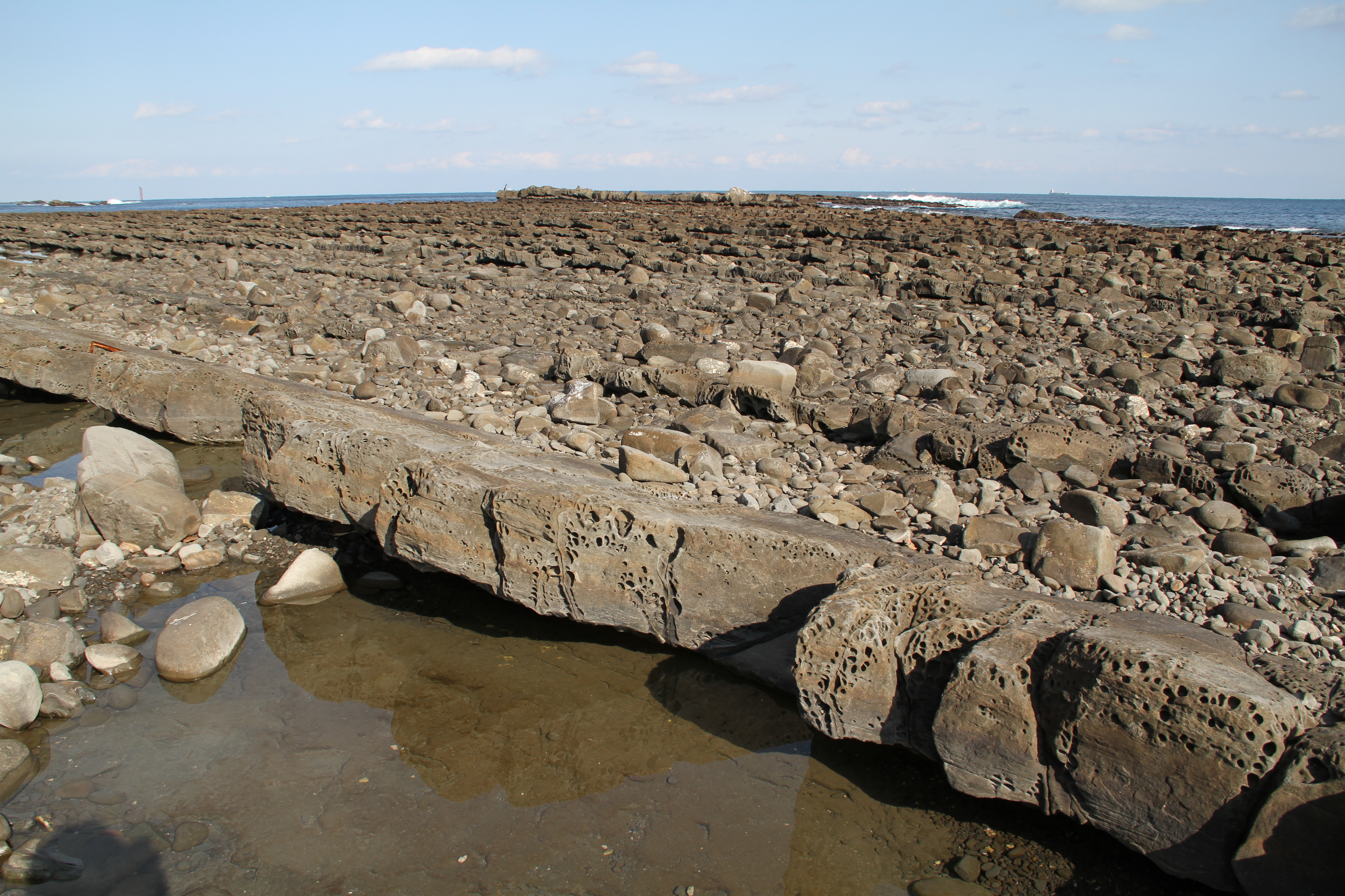 <b>EOS 7D / EF-S 18-135mm F3.5-5.6 IS / 約8.1MB / 5,184×3,456 / 1/250秒 / F8 / 0.0EV / ISO100 / WB:オート / 18mm</b>